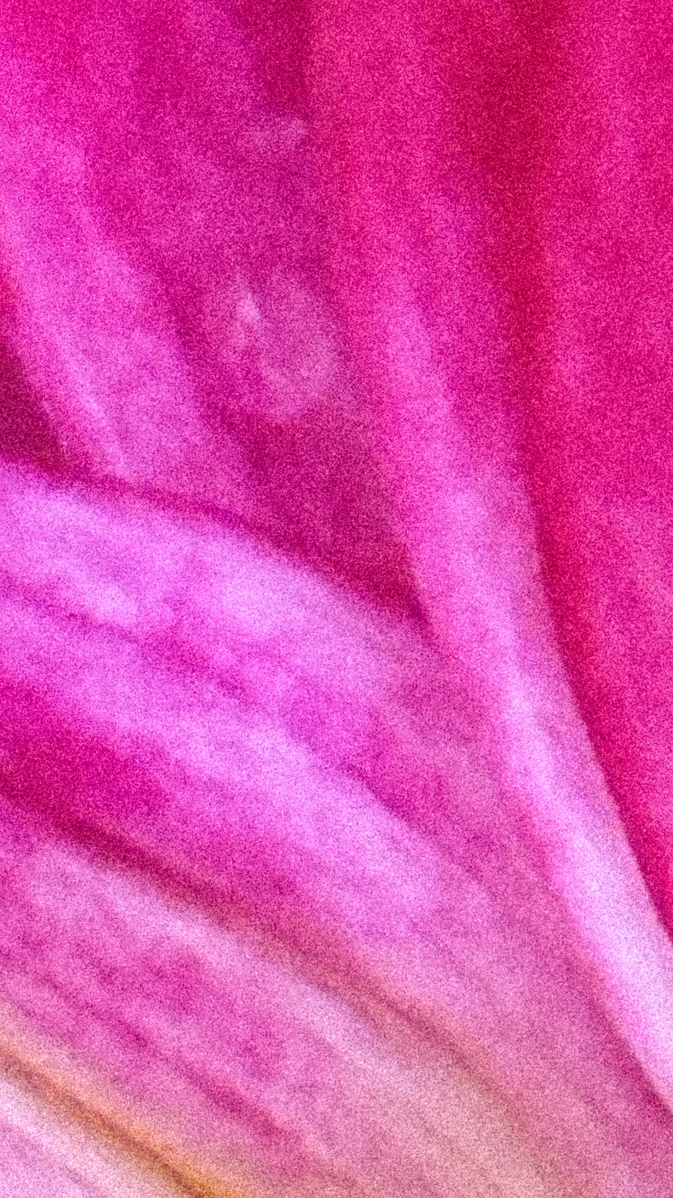 IMG_6050.JPG