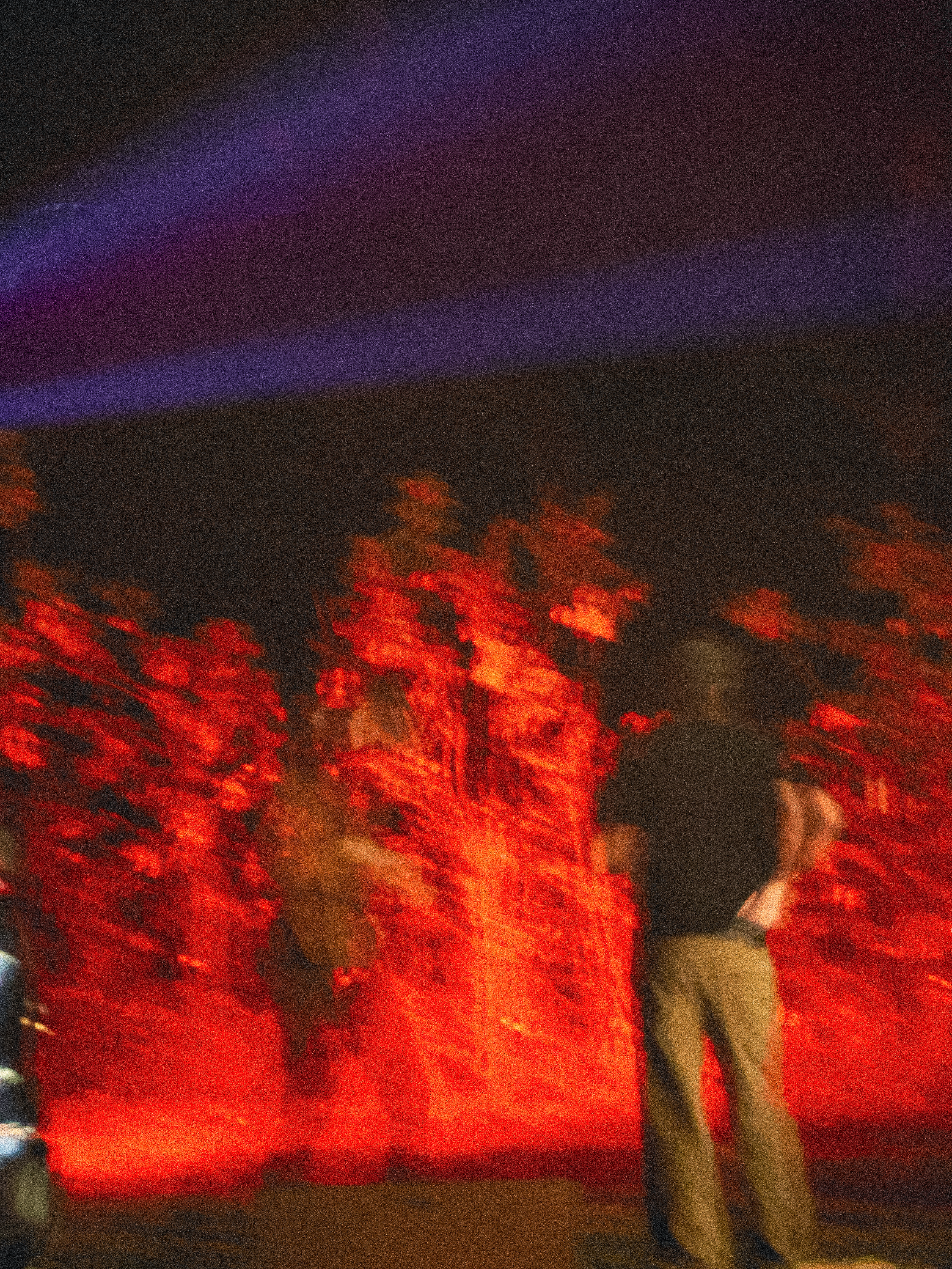 BigEyesConcert-14.PNG