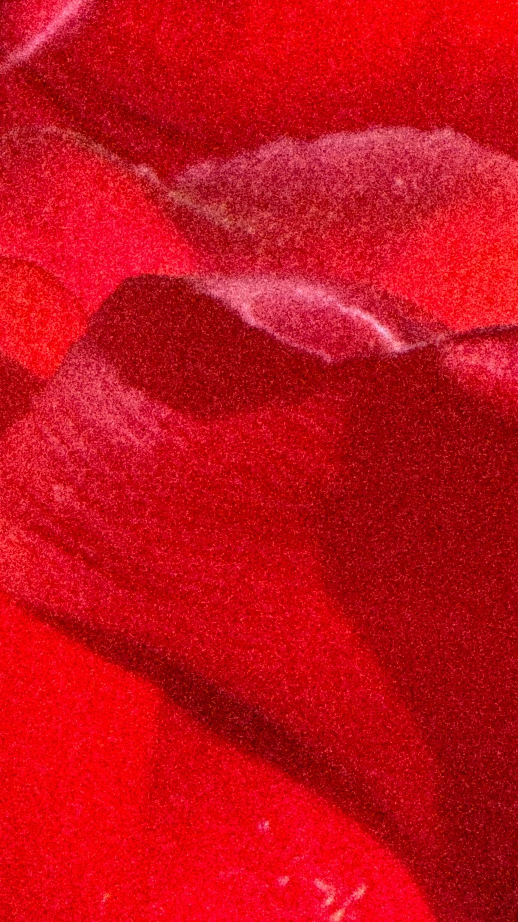 IMG_5018.JPG