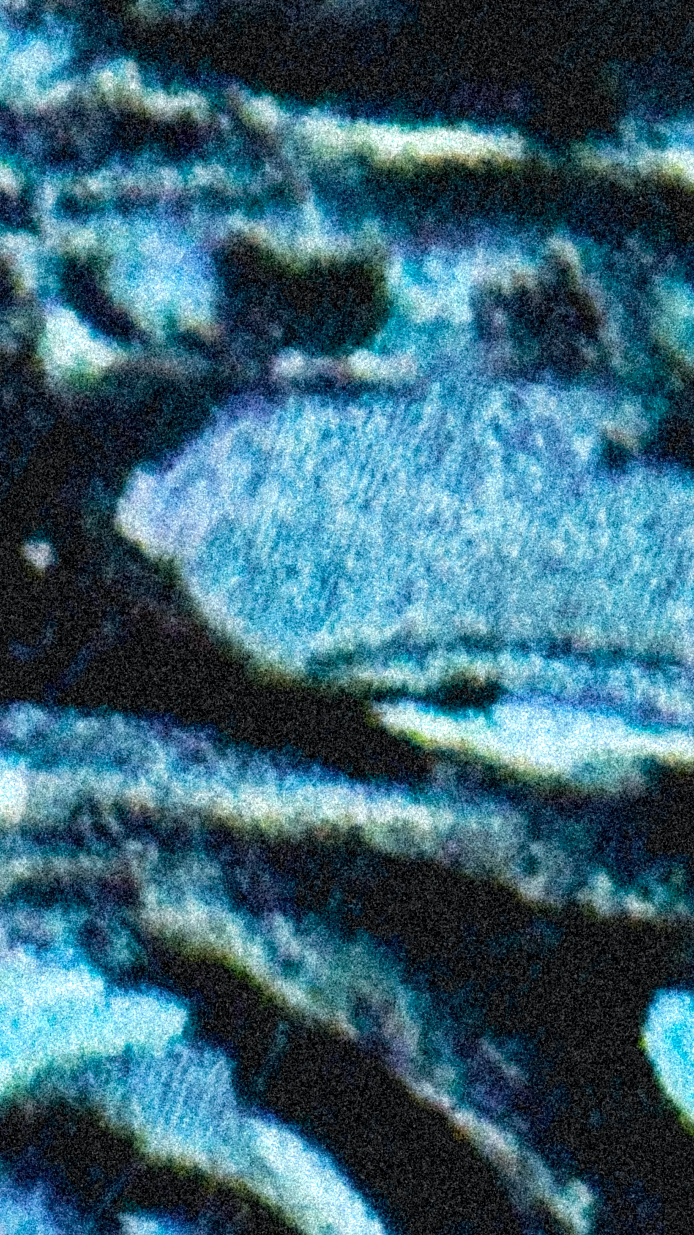 Victor-4.jpg