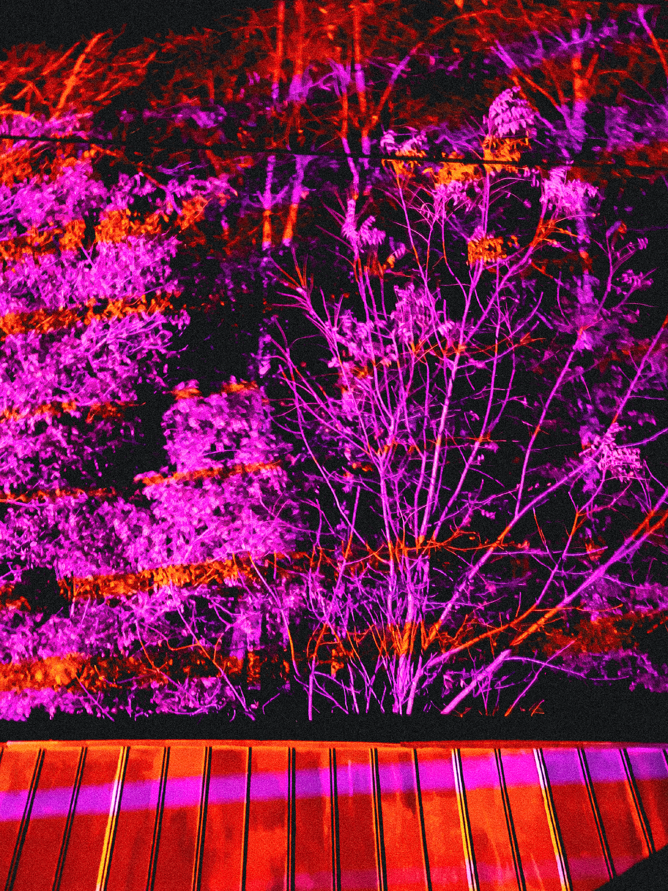 BigEyesConcert-16.PNG