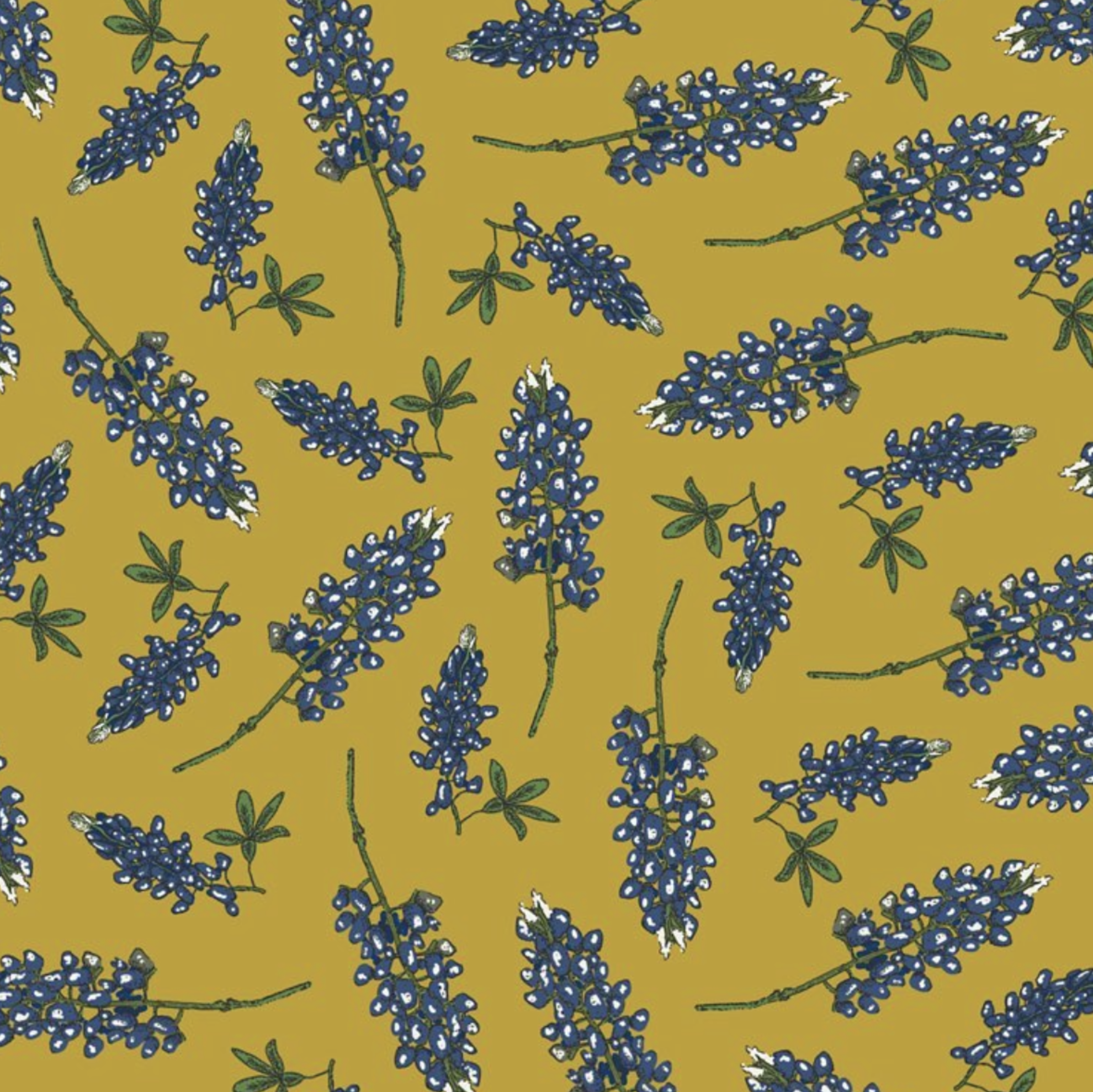 Screen Shot 2020-12-08 at 1.15.45 PM.png