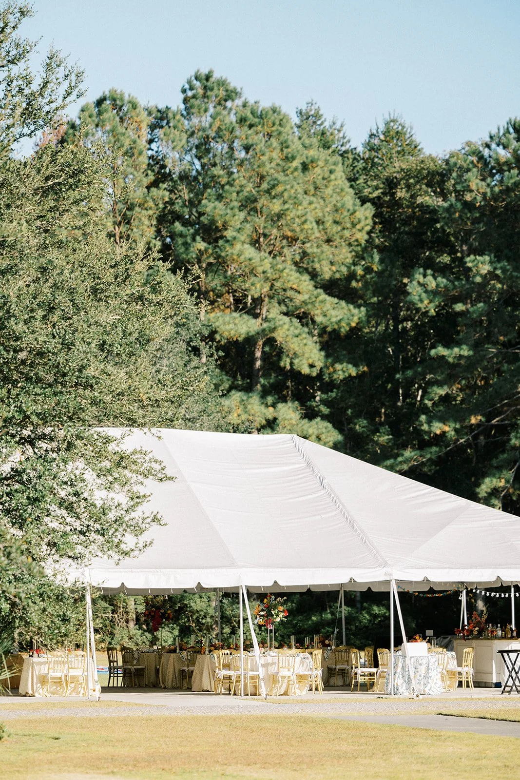 Elevate Your Charleston Wedding