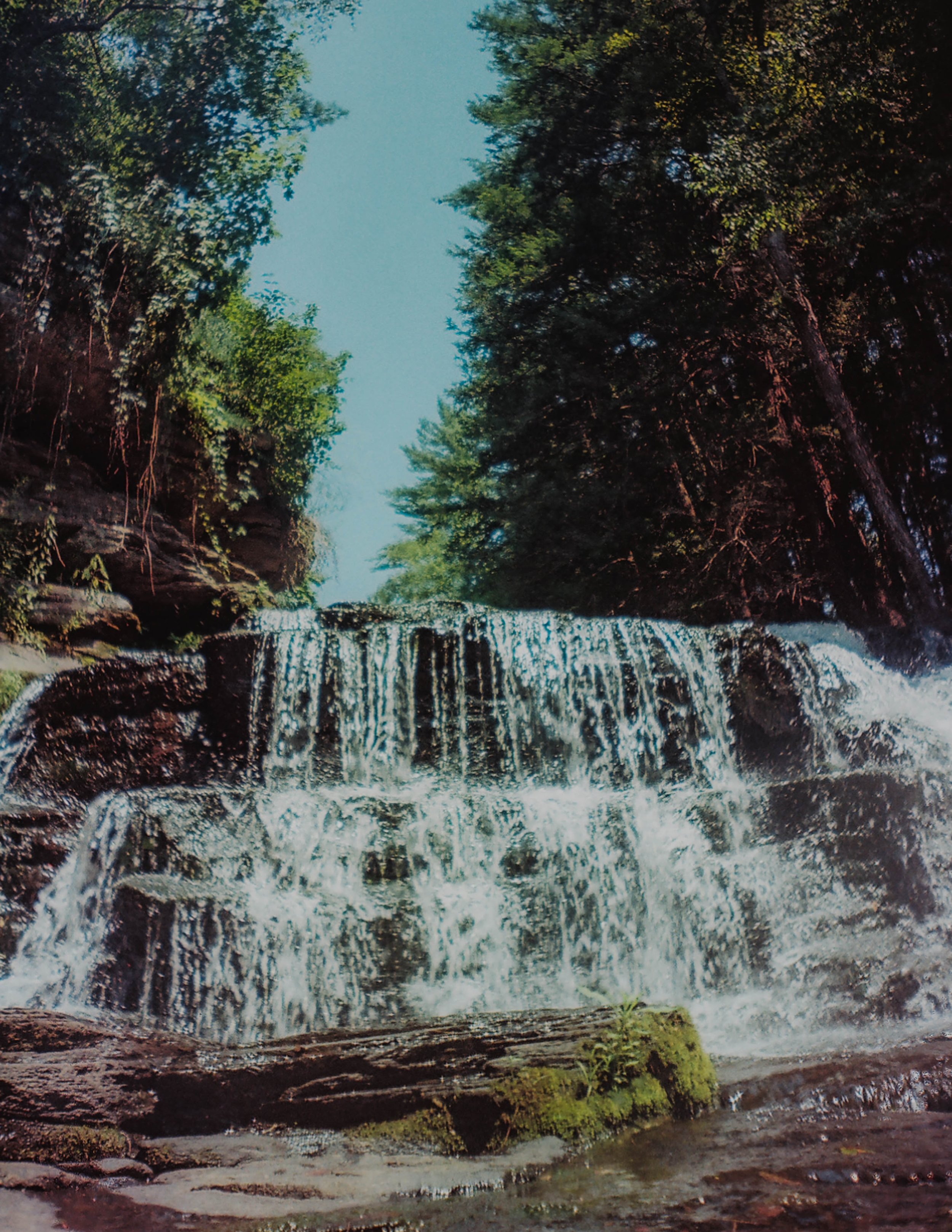 The Falls on Film / 35mm point and shoot