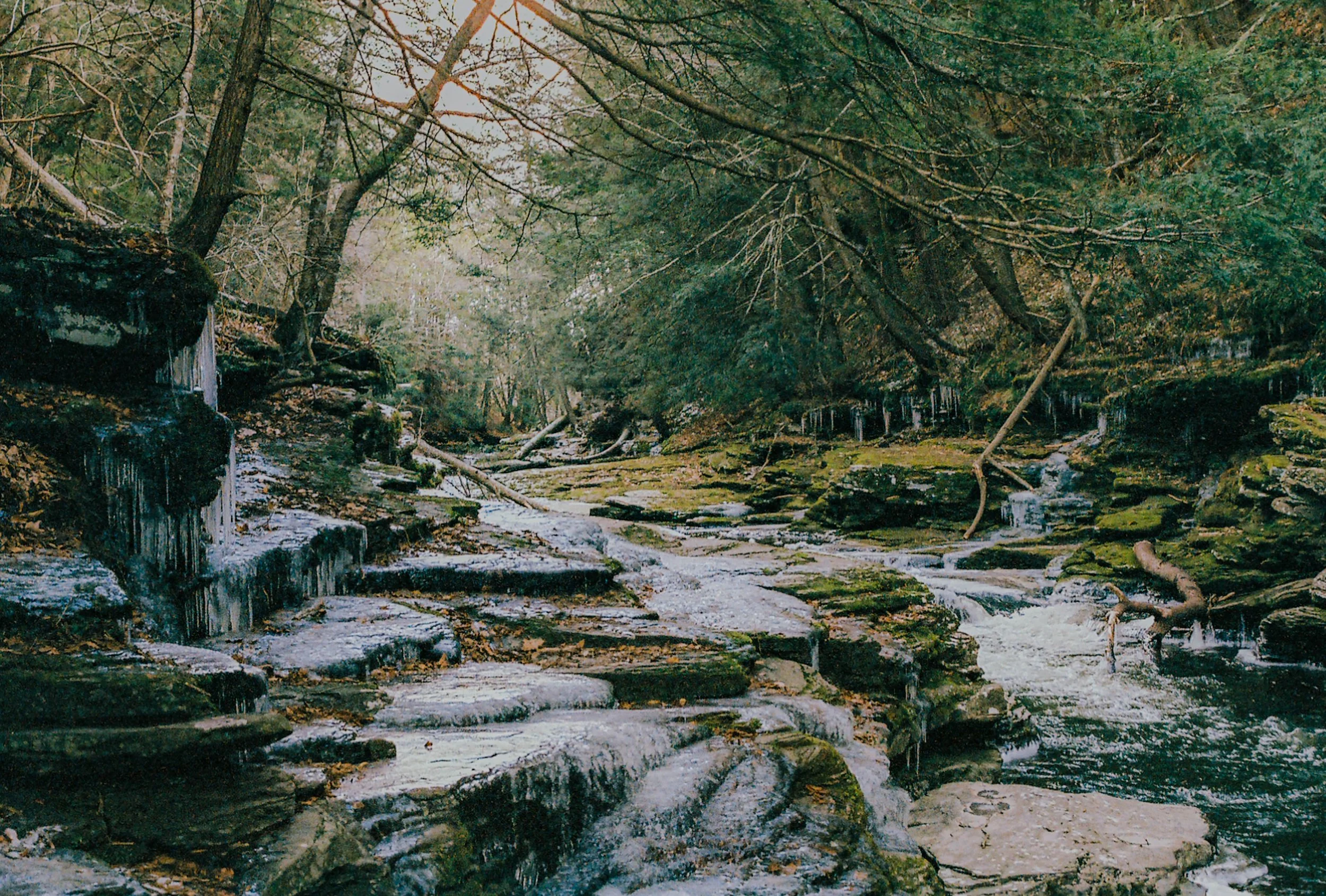 Winter of 2023 / Little Rocky Glen / 35mm point and shoot