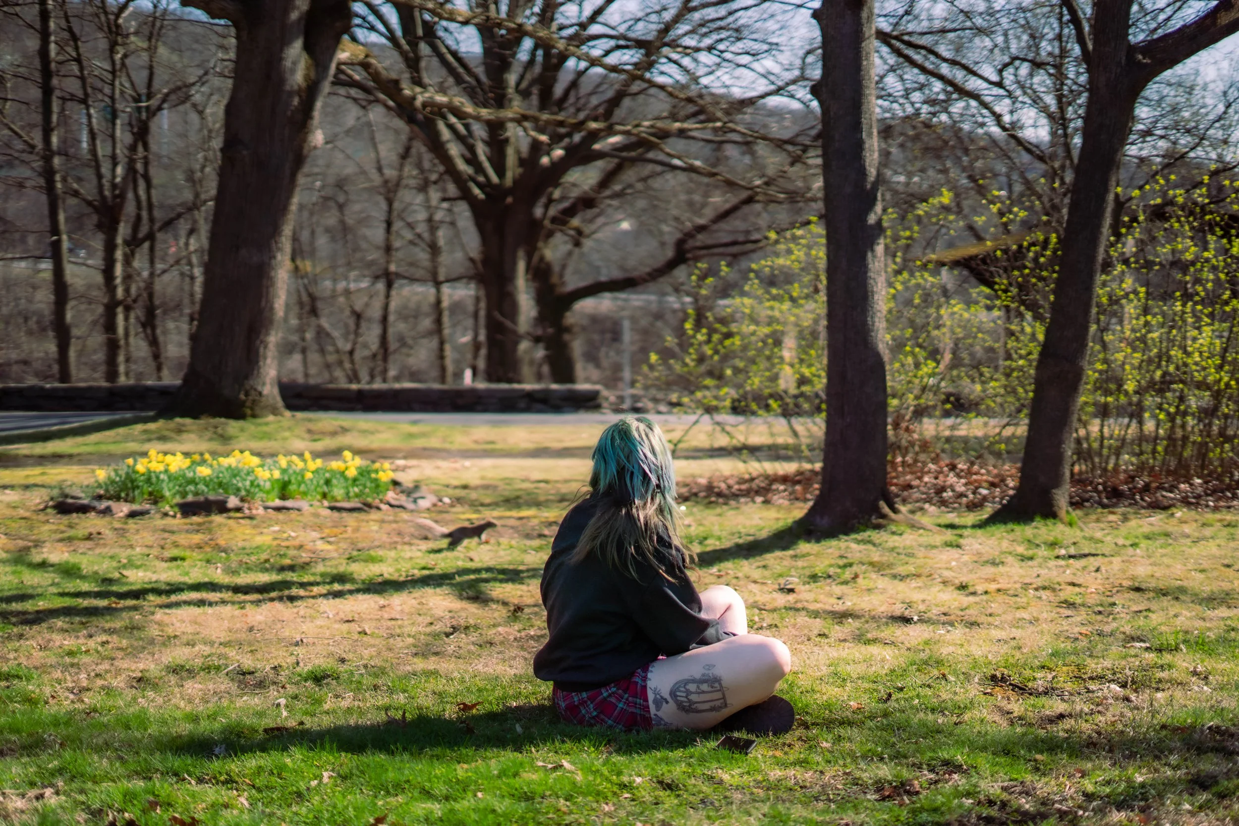 Haze @ Nay Aug with Squirrels / Sony Alpha a7iii