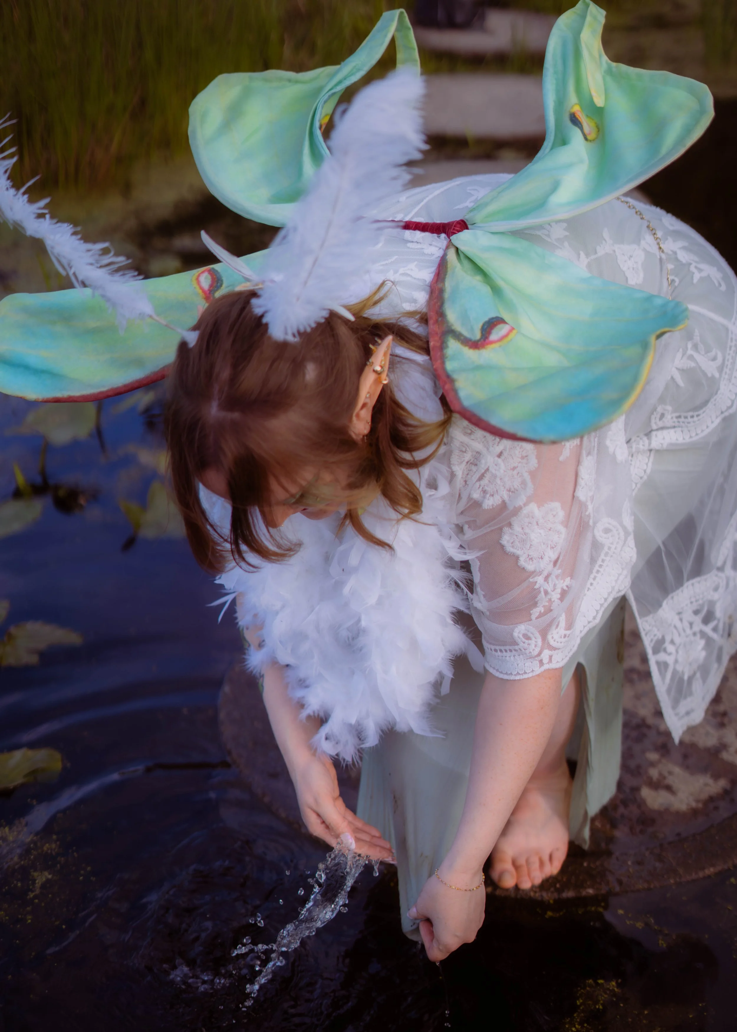 Luna Moth styled shoot / Sony Alpha a7iii