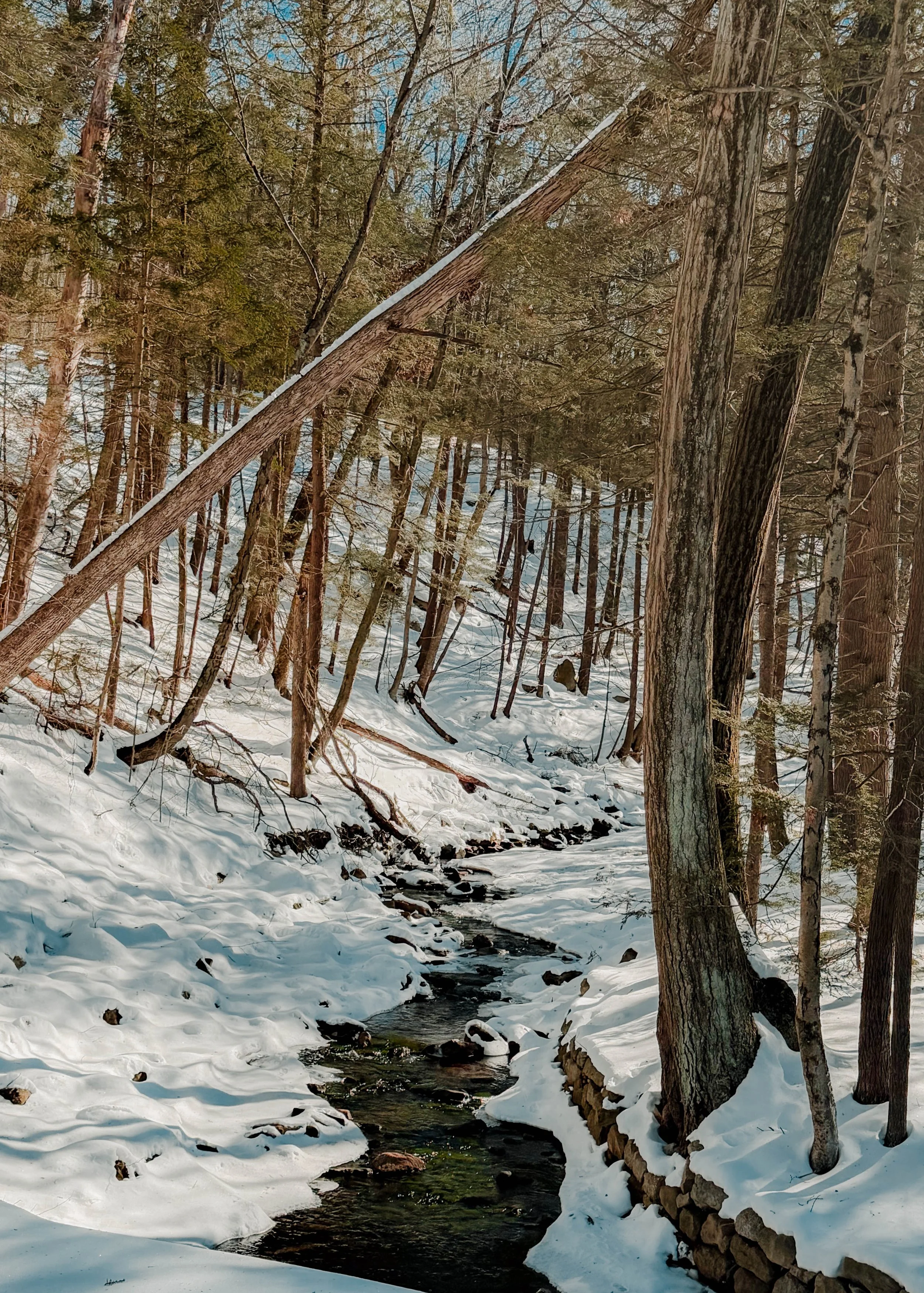 lake scranton feb 26.jpg