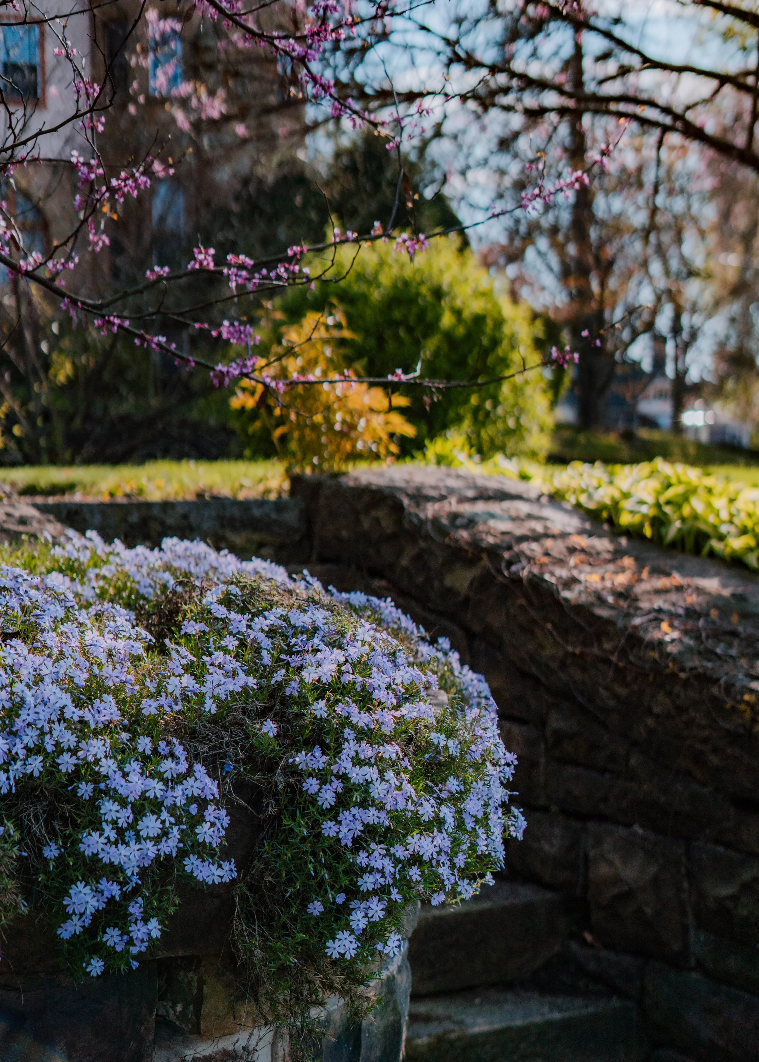 green ridge walk april 22-5.jpg