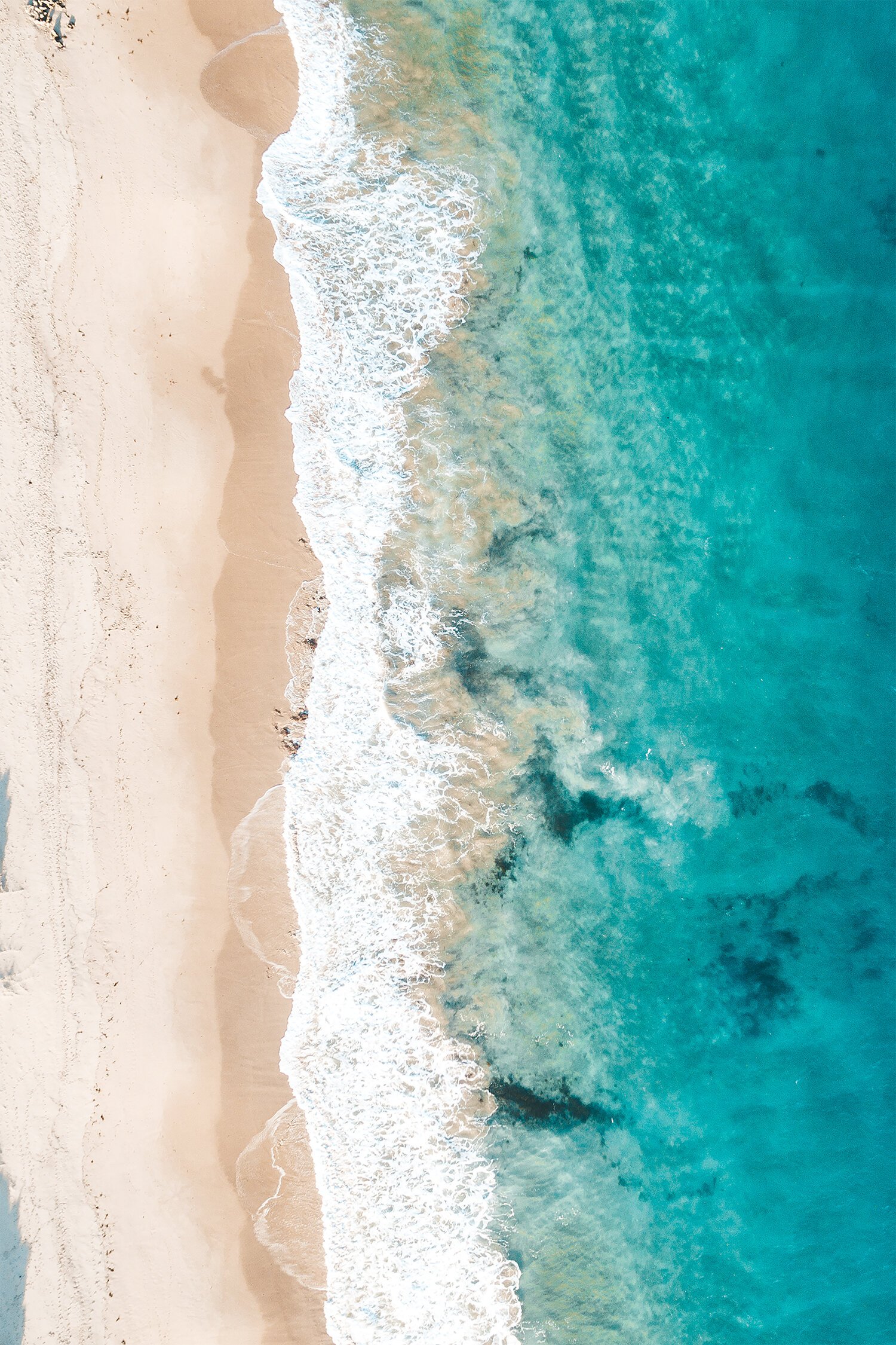 Birds+Eye+Blues+-+Portrait.jpg