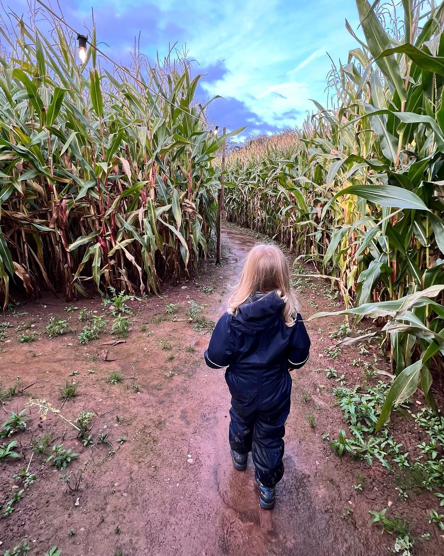 💡 Following the fairy light trail through the maze&hellip;.

👉🏼 Finding Gourds &amp; Gruesome ingredients for Wanda&rsquo;s Cauldron&hellip;

🥾 Splashing in muddy puddles is all part of the fun here @maze__52, especially when you come in a onesie