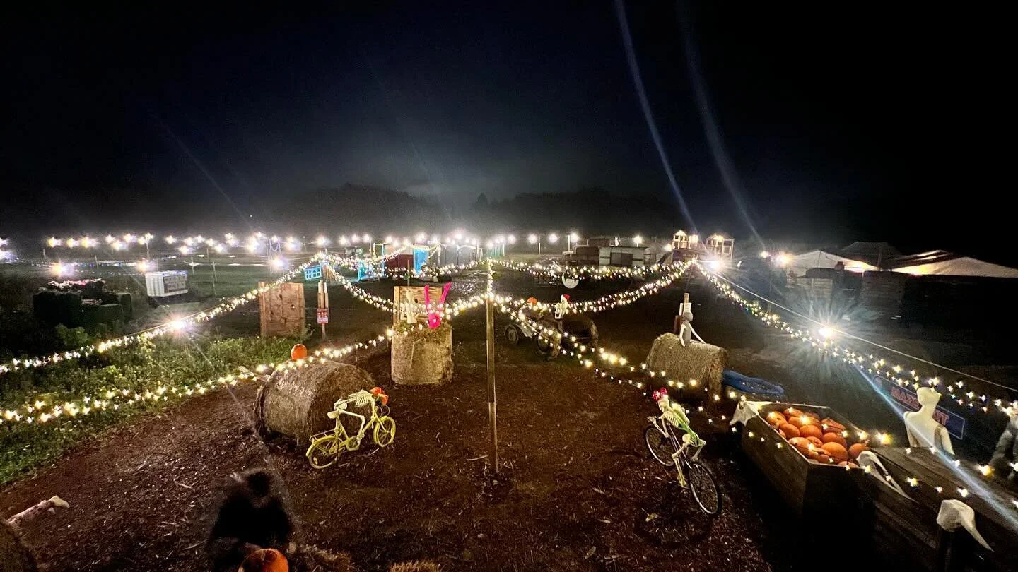 🎄🌽 Wishing all of our incredible customers and supporters a very MERRY CHRISTMAS from all of us @maze__52 🌽🎄

🥳 Have a fabulous festive season!