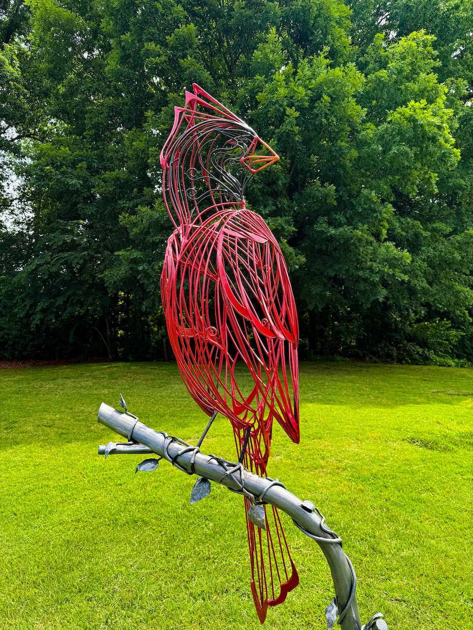 Cardinal_1.jpeg