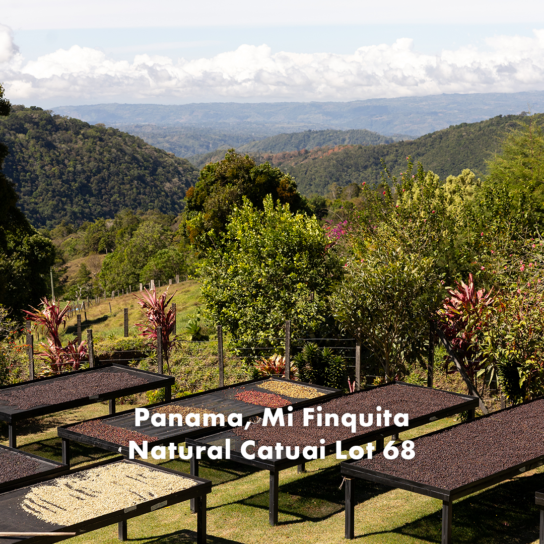 Panama Mi Finquita Lot 68.png