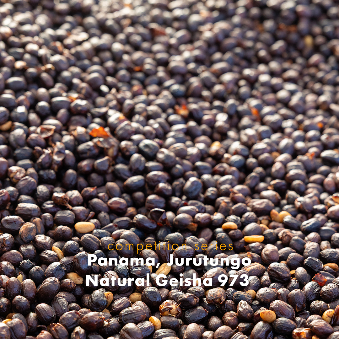 Panama, Jurutungo Natural Geisha 973 [2026 Harvest]
