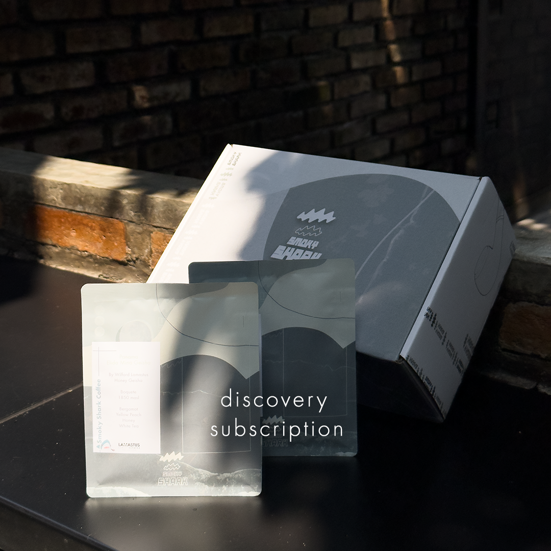 discovery subscription.png