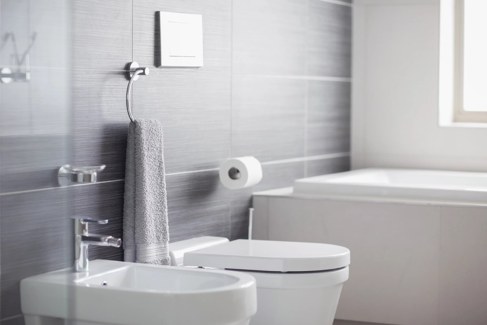 The Value of Water in Sanitation and Toilets