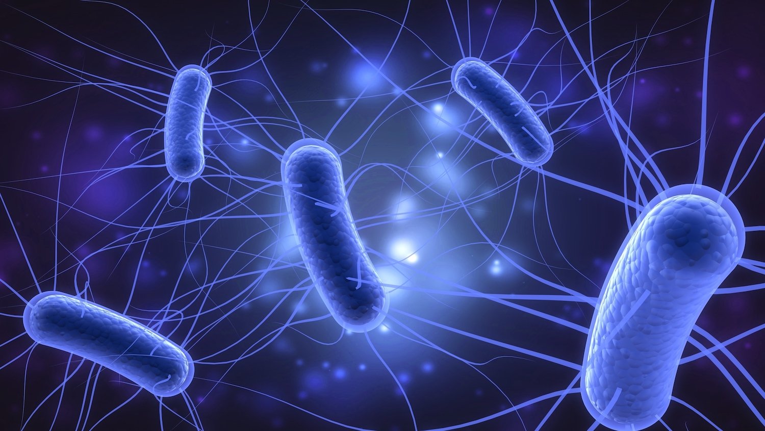 The Hateful Eight: Pathogenic Serotypes of E. coli