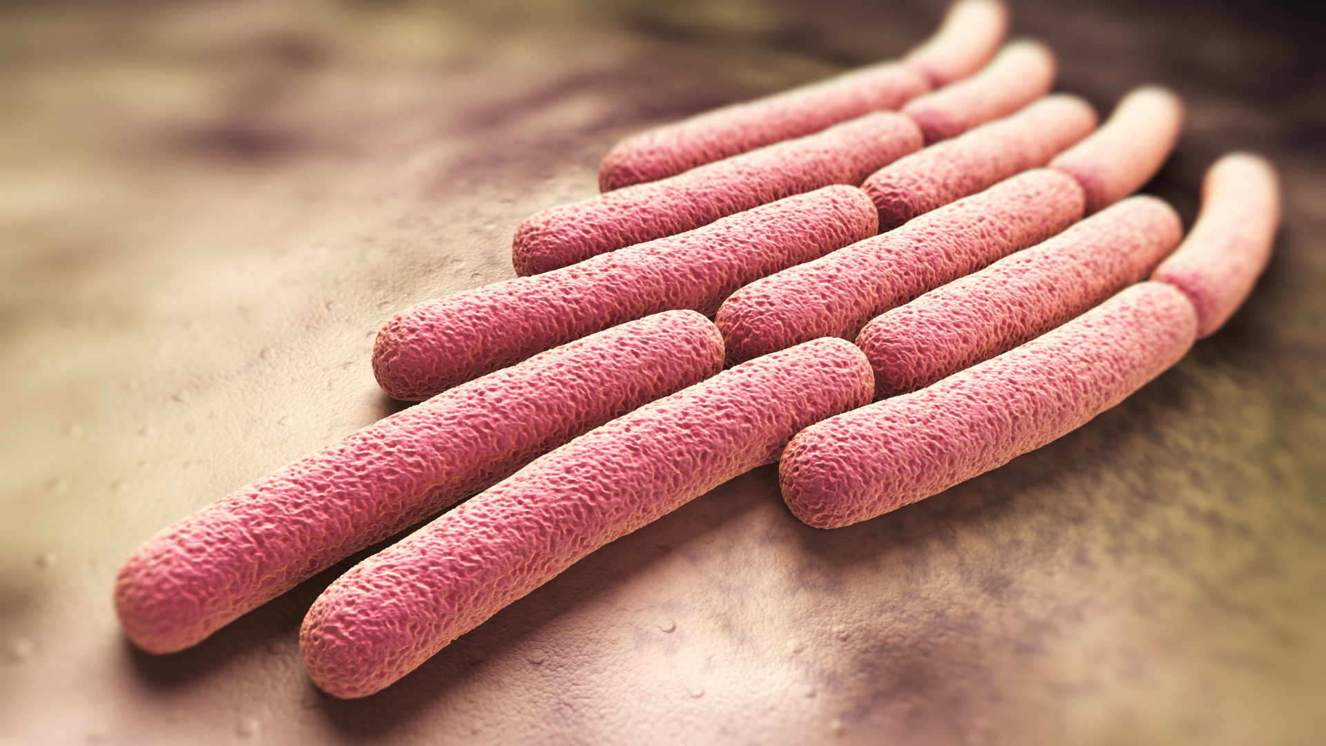 Tracking Shigella spp. (ipaH gene) for Better Public Health Response
