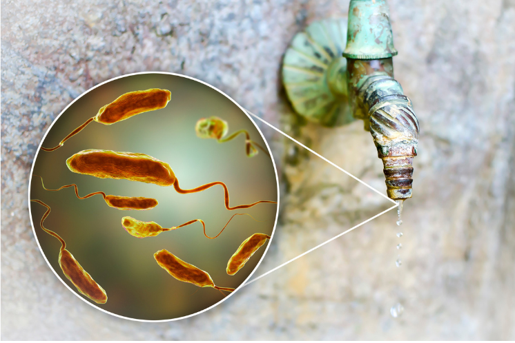 Stopping Cholera at Its Source: How the KRAKEN System Can Help