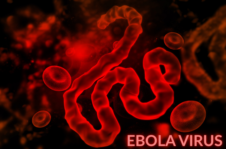 Ebola Outbreak in the DRC: Understanding the Threat and Strengthening Our Response