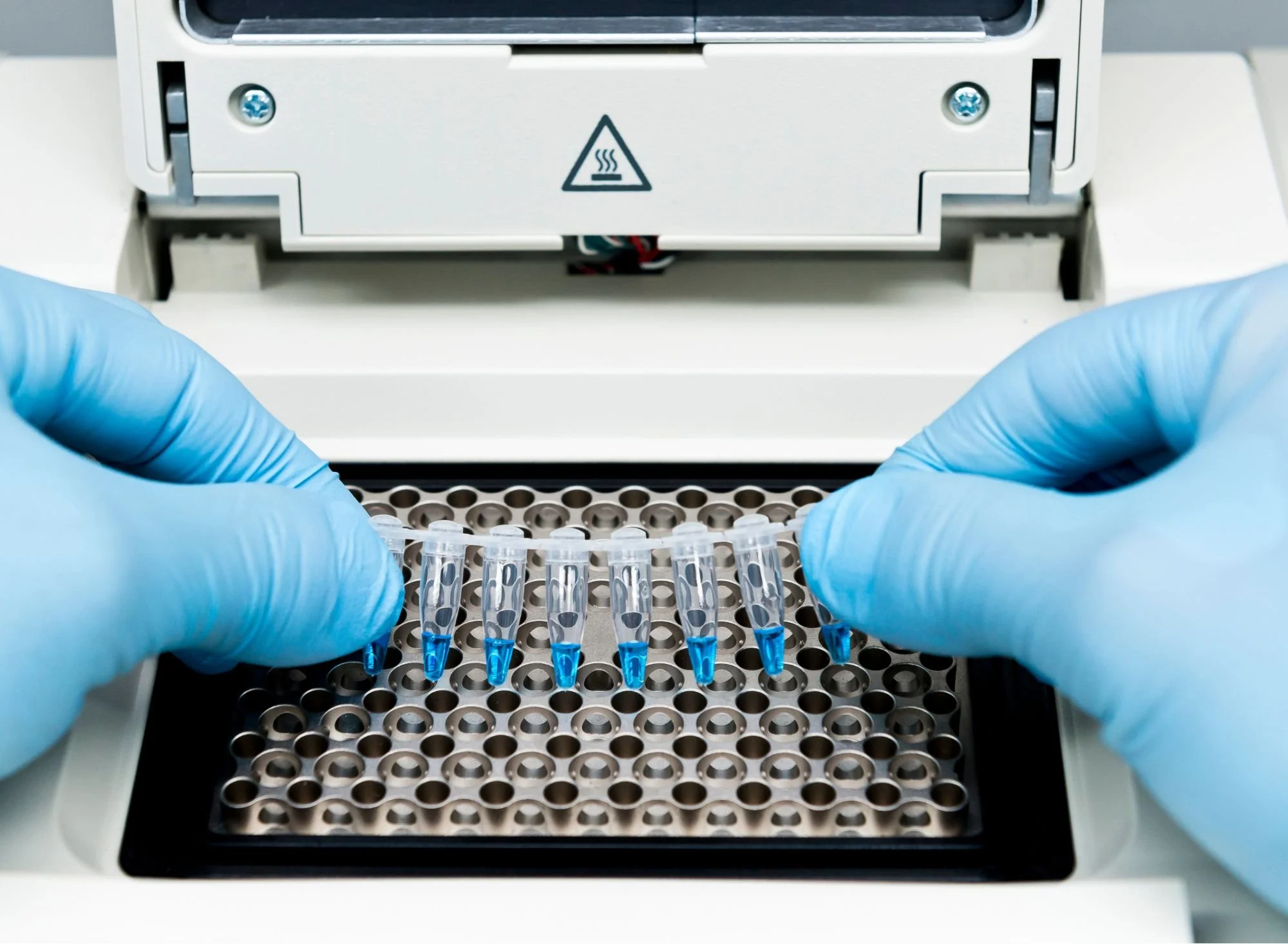 From Genes to Germs: How DNA Analysis Enhances Pathogen Detection ...