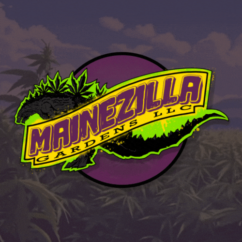 Colorful logo with the text "Mainzilla Gardens LLC" and a cartoon-style Godzilla figure with cannabis plants on its back, set against a purple circle with a sunset background and palm trees.