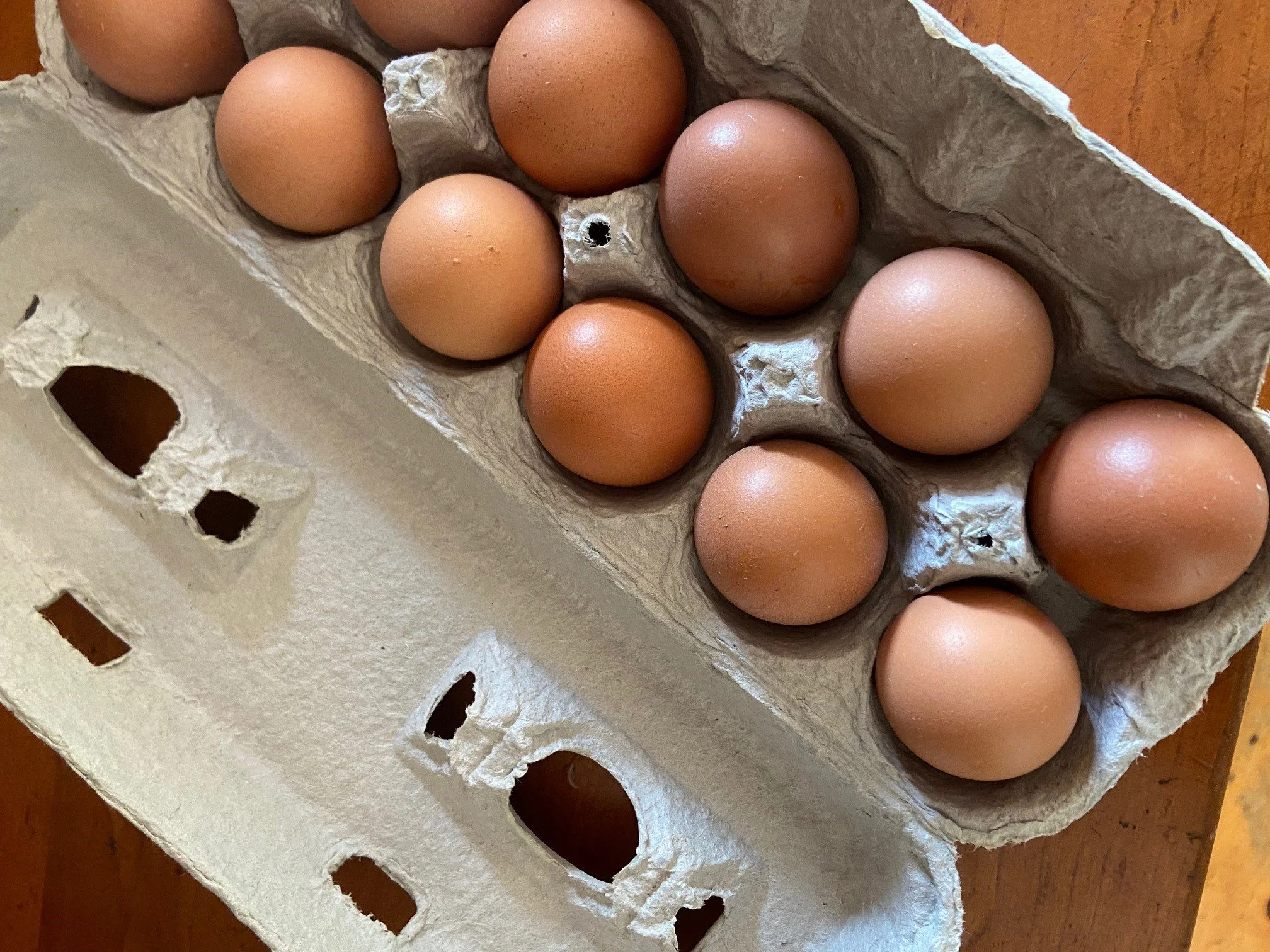 pullet-eggs-1.jpg