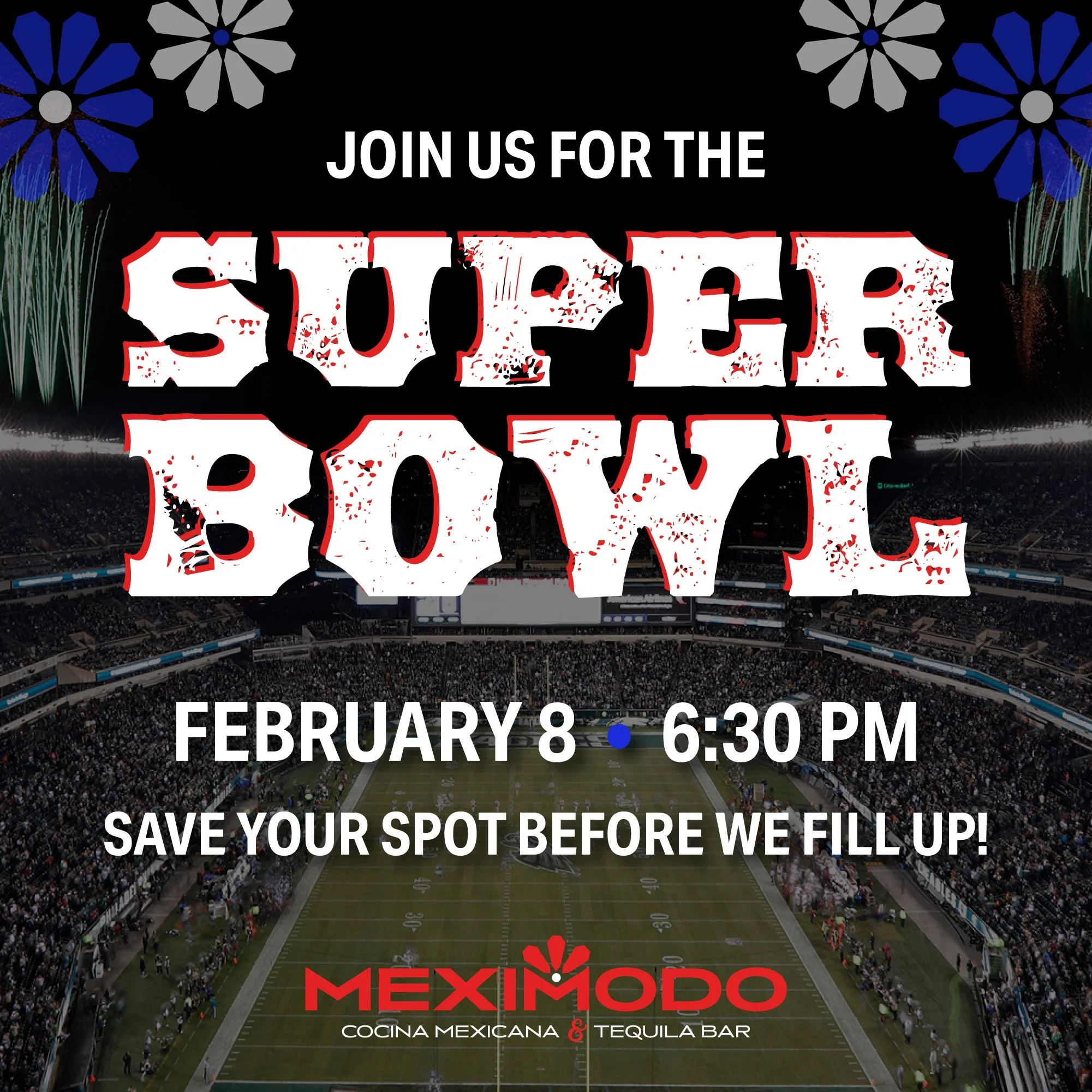 Super Bowl LX Watch Party