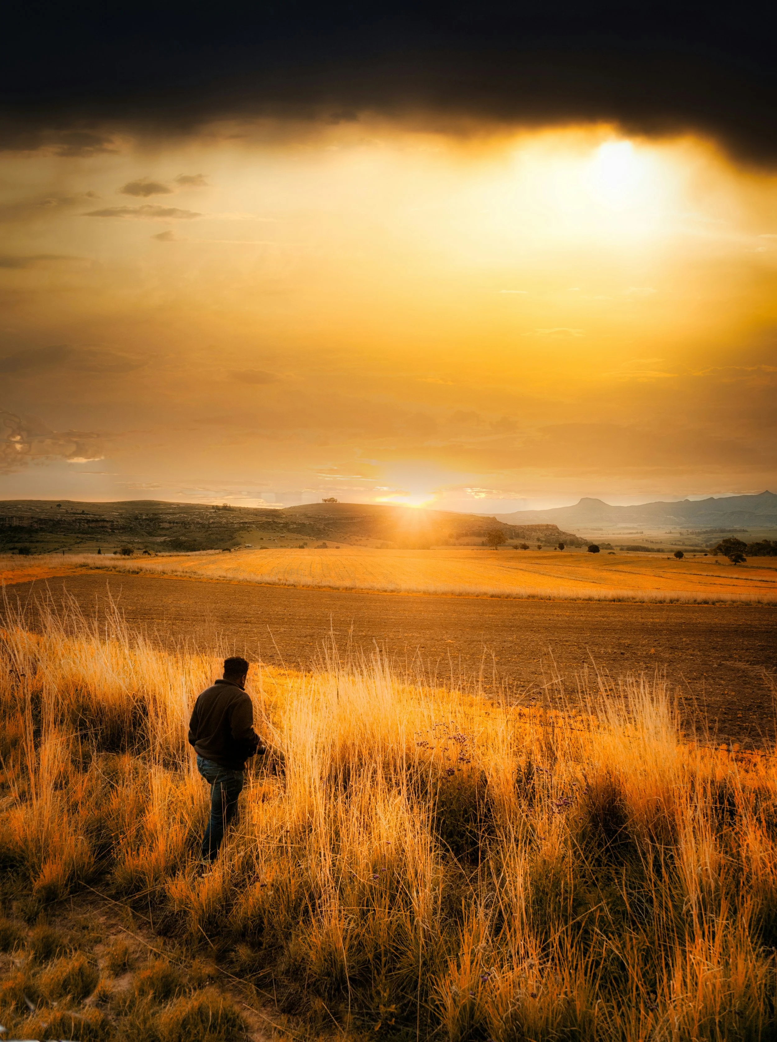 Silhouette of a person in long grass in the golden sunset light.