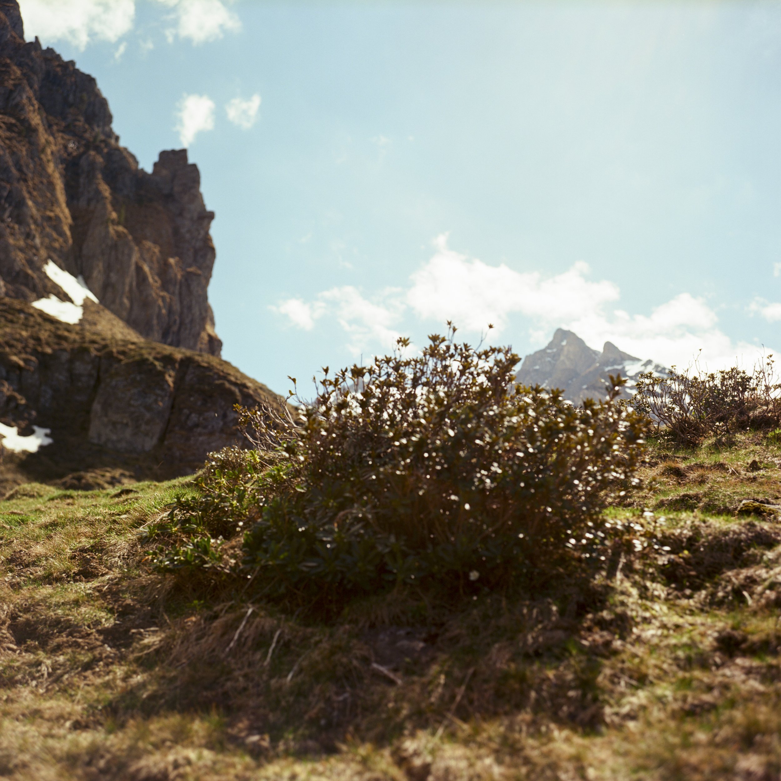  Louis Chantreau-53 copie.jpg