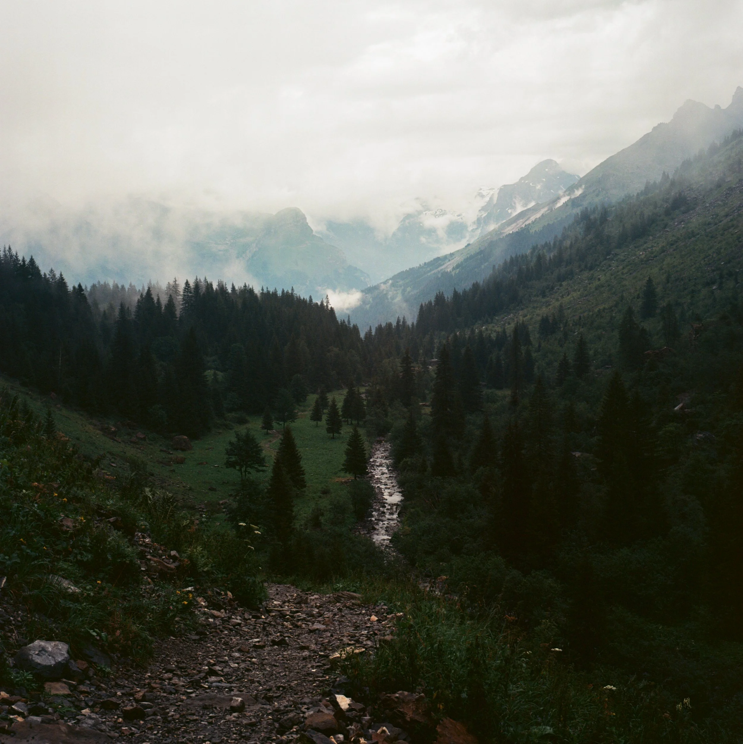 10_12_2025_0124.jpg
