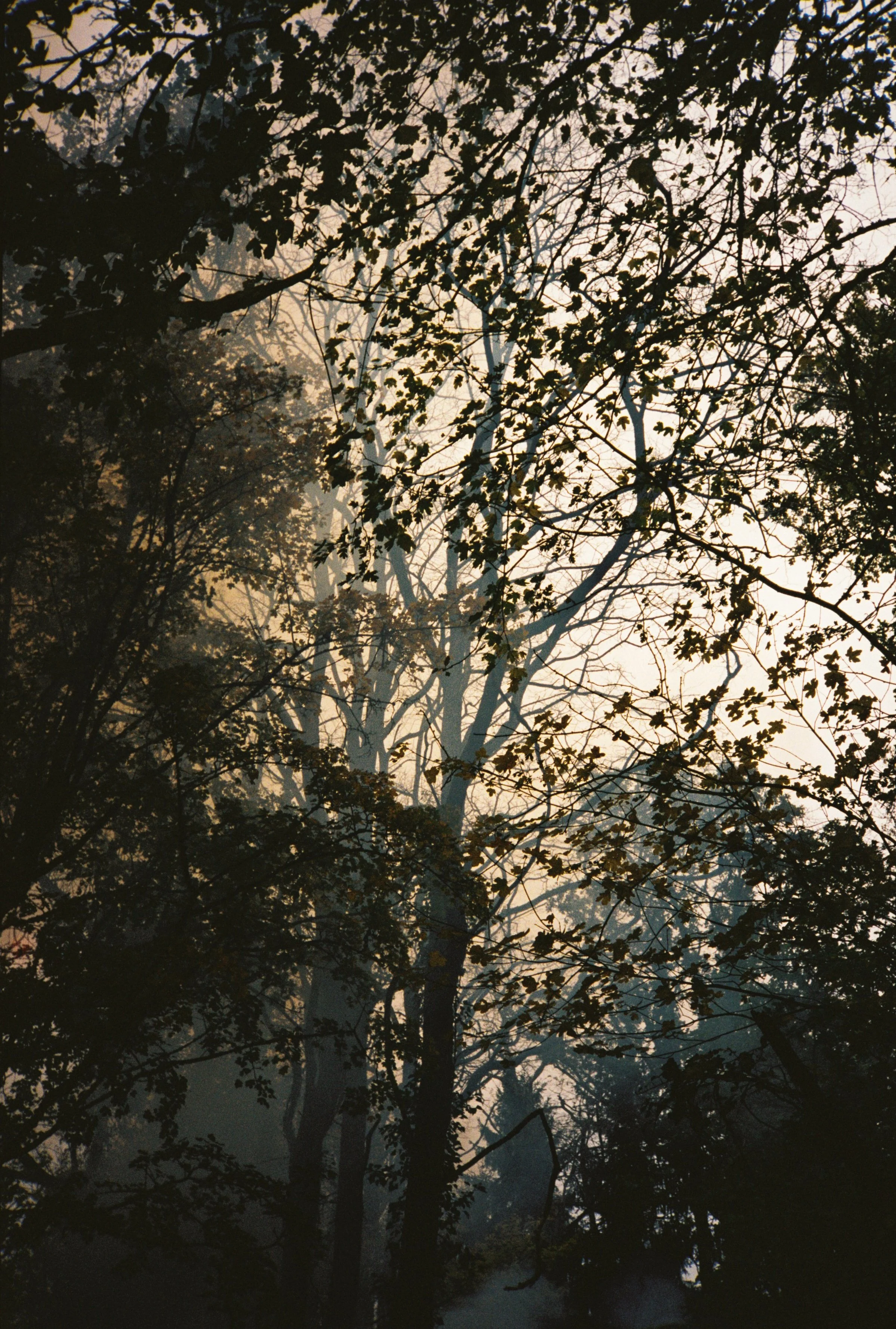 WEB6528587-871988AE-B276-86E1-6FAF-729063495E92.jpg