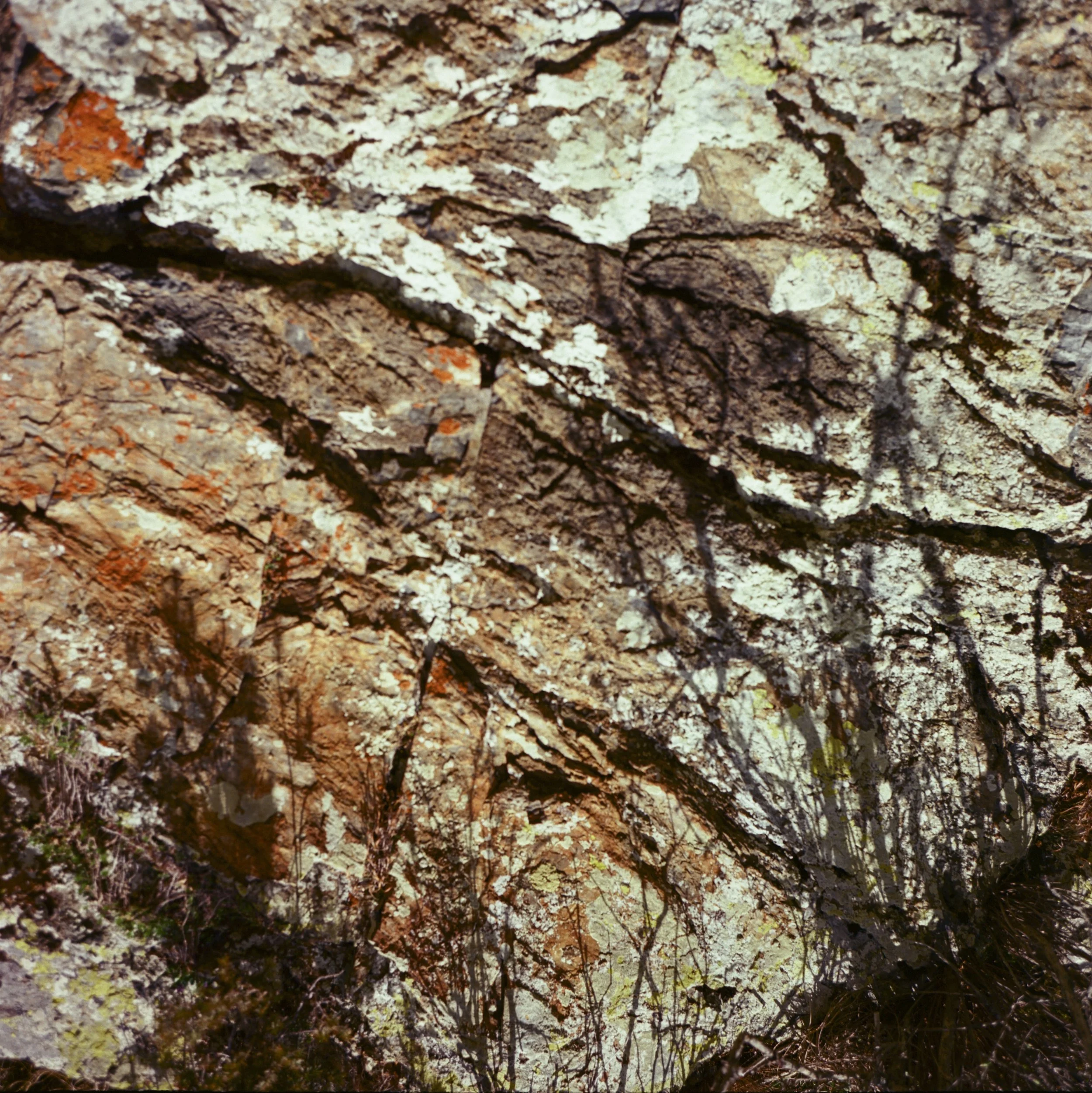  Louis Chantreau-52 copie.jpg