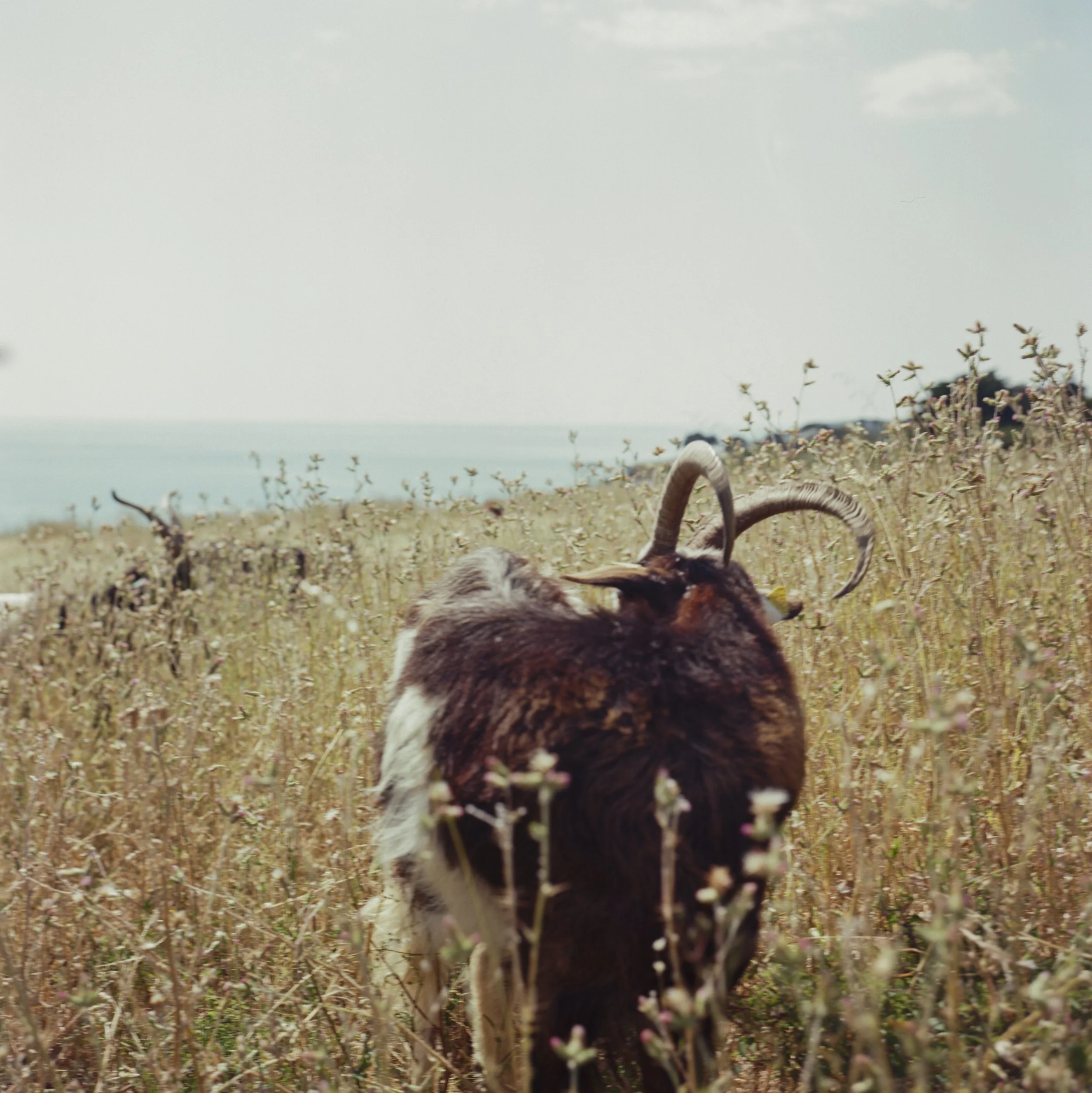  Louis Chantreau-21.jpg