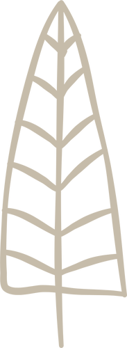 Lunaria Blattsymbol