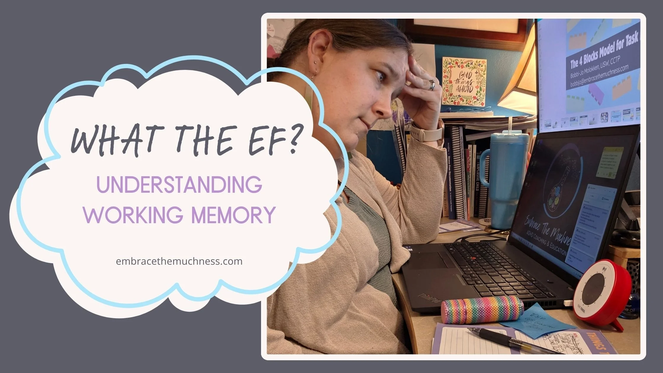 What the EF? Understanding Working Memory