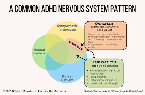 Common ADHD nervous system pattern
