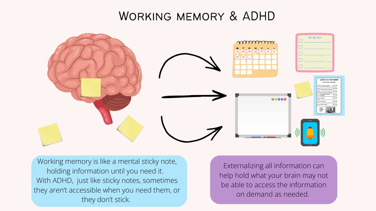 Working Memory & ADHD
