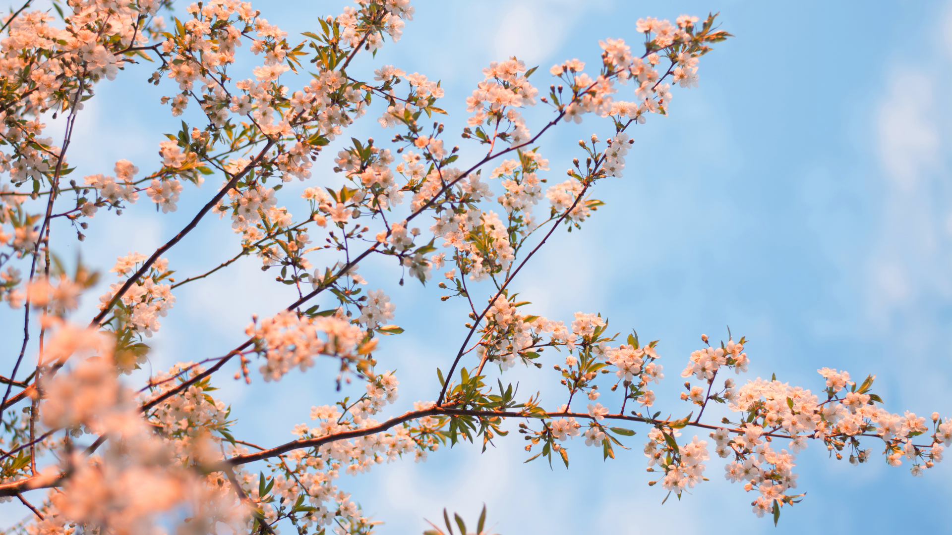 What Is Neurodecolonization? Collective Care and Anti-Colonial Therapy