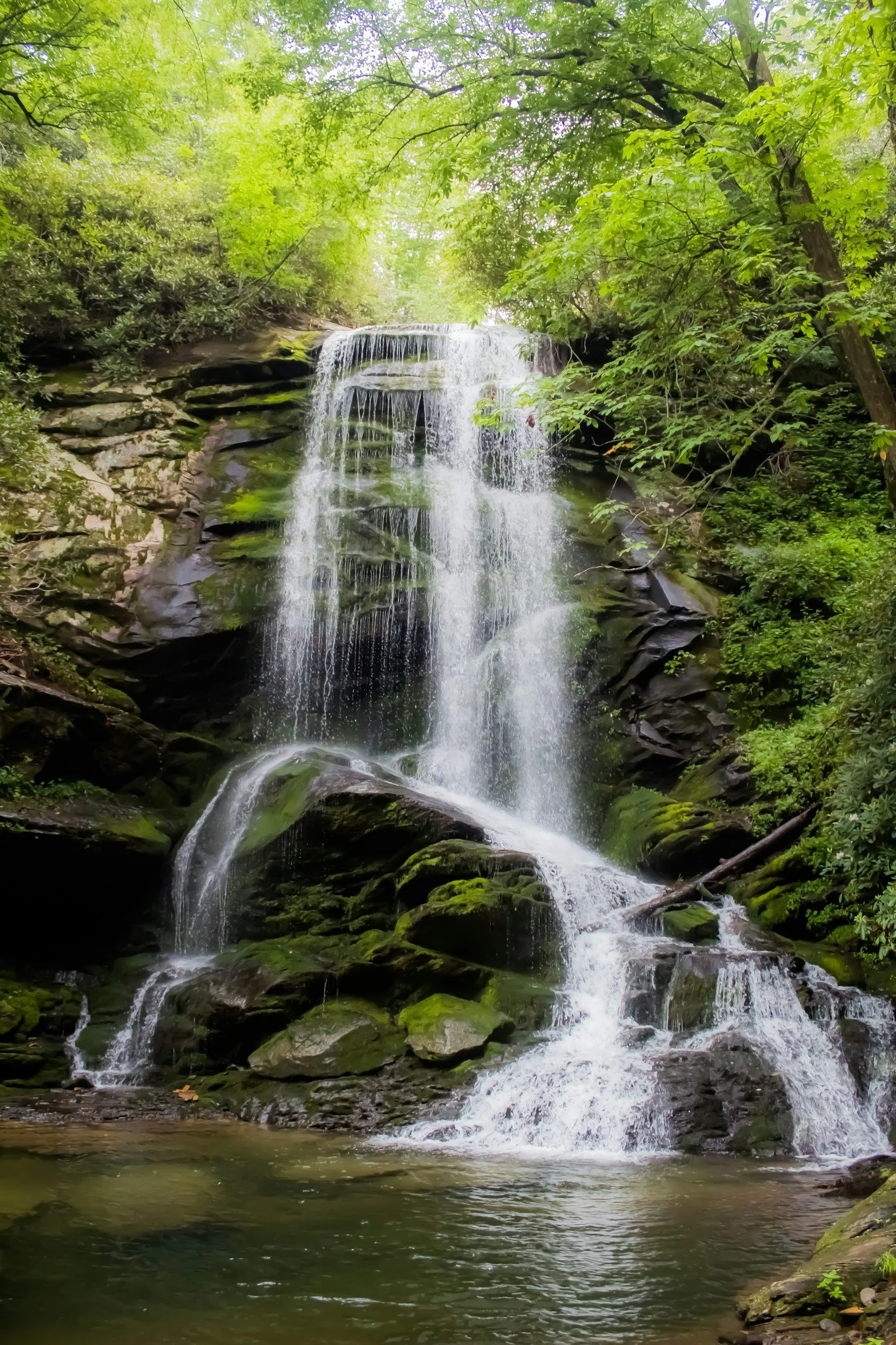 A small waterfall cascading over rocks in a lush green forest with trees and foliage surrounding it.