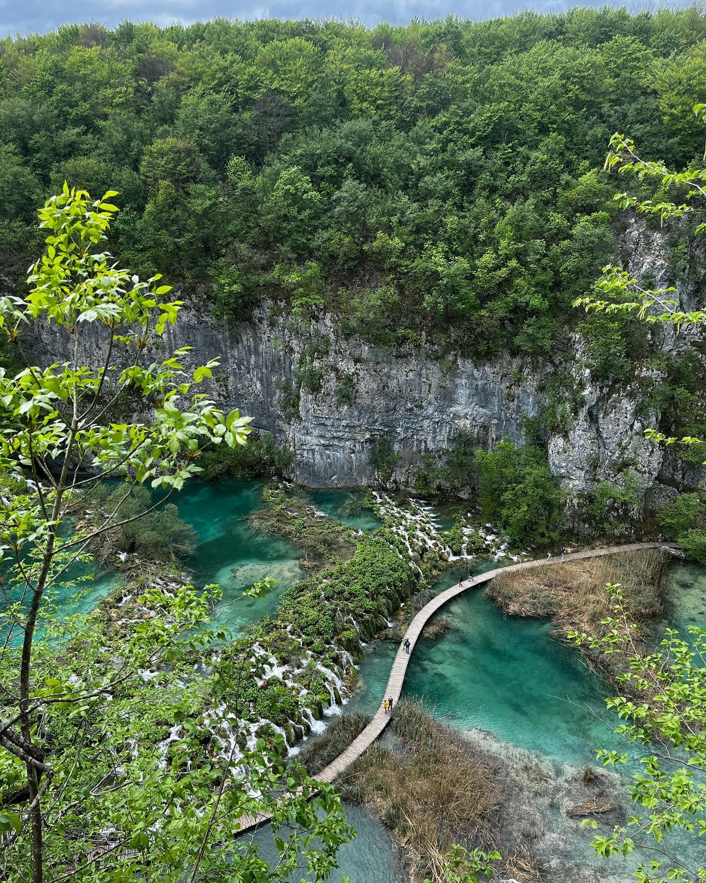 Plitvice National Park | one of the oldest and largest National Parks in Croatia, and an absolute must see. 🔆

I know there are some national park fanatics out here, so add this one to your list! 

I must know ➡️ What is your favorite National Park 