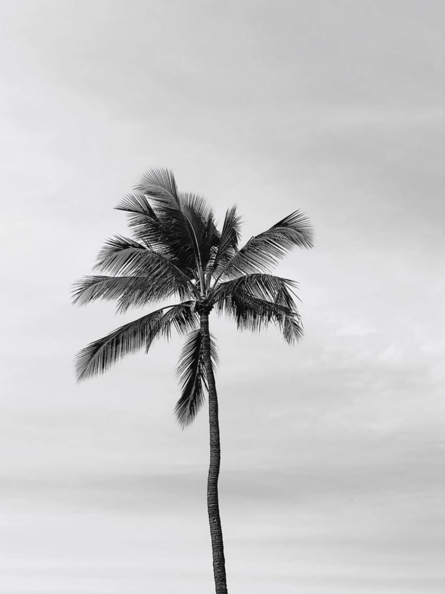 It&rsquo;s time to start thinking of 2026 travel 🥂save this post for when you&rsquo;re getting that PTO planned.

&bull;&bull;&bull;&bull;&bull;&bull;&bull;&bull;&bull;&bull;&bull;

2026 Holidays:

New Year&rsquo;s (Jan 1 is Thurs) - take Fri for 5 