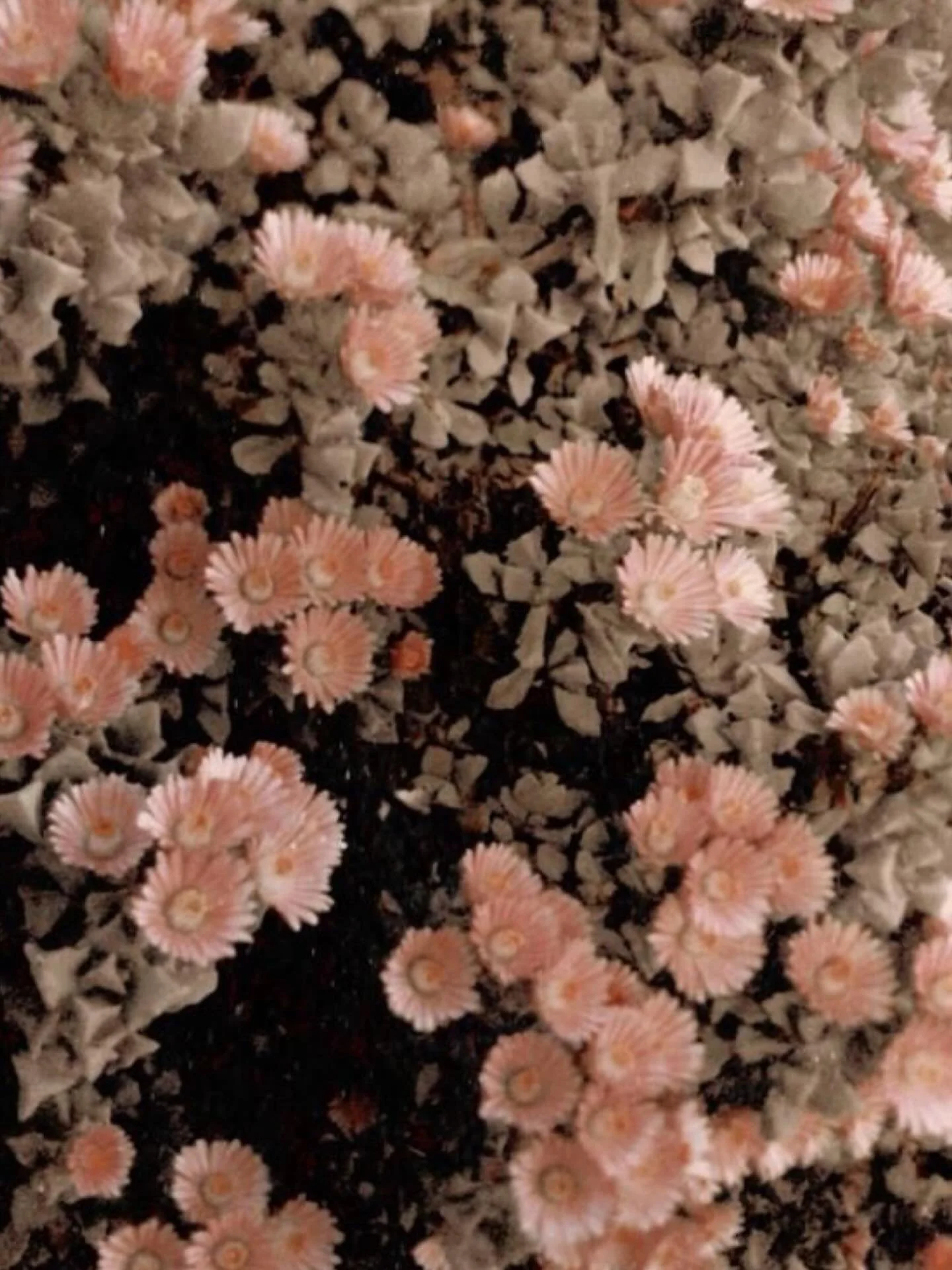 Travel Tip Tuesday 🌸

Planning a European getaway? Don&rsquo;t make these common mistakes!

Underestimating Logistics
Those &ldquo;short&rdquo; distances between destinations can eat up half your vacation in transit time. You wouldn&rsquo;t visit NY