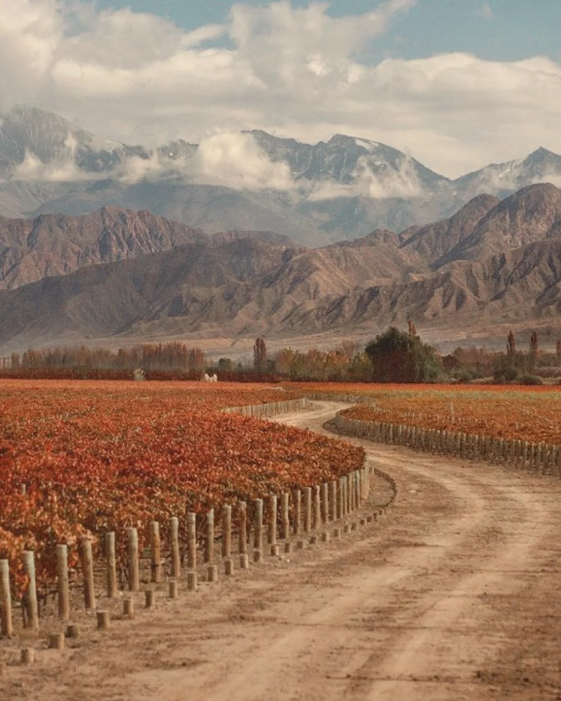 Mendoza is where slow travel wins. Long vineyard lunches, sun bathing with mountain views, and horseback riding outings that turn into a 3 course bbq and mate tastings.

A few things I learned while on the ground:
&ndash; Book tastings + lunches in a