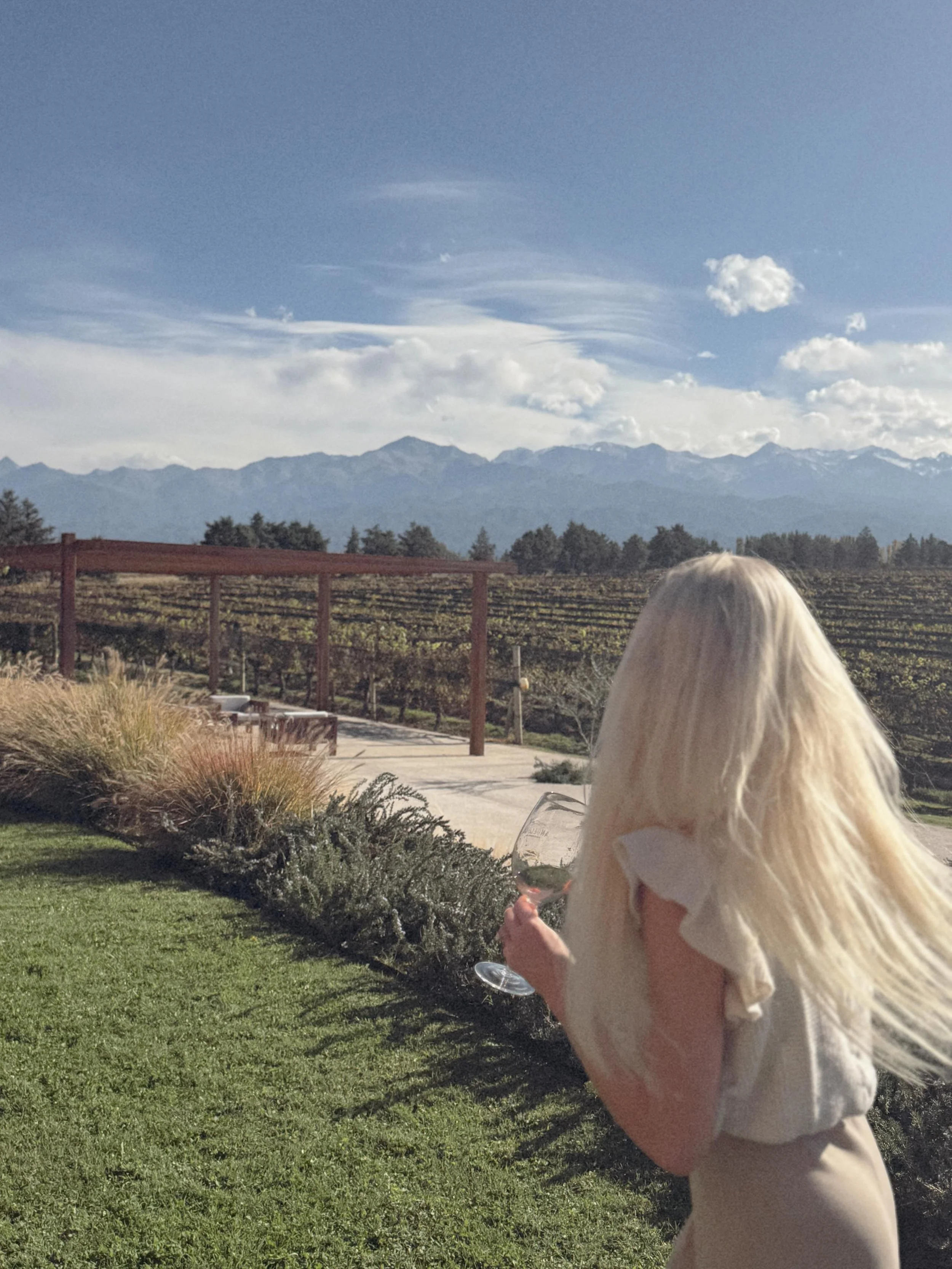 Favorite itinerary Friday: Mendozaaaa🍷🌞

I have no other words for this beautiful place besides, GO, my friend. Seriously.

But make sure you do it well! Wineries are far apart so book a driver in advance (With me, of course) 🫶🏼, and enjoy yourse