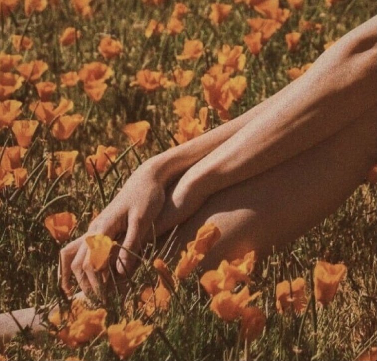 travel guides megan Vatnsdal