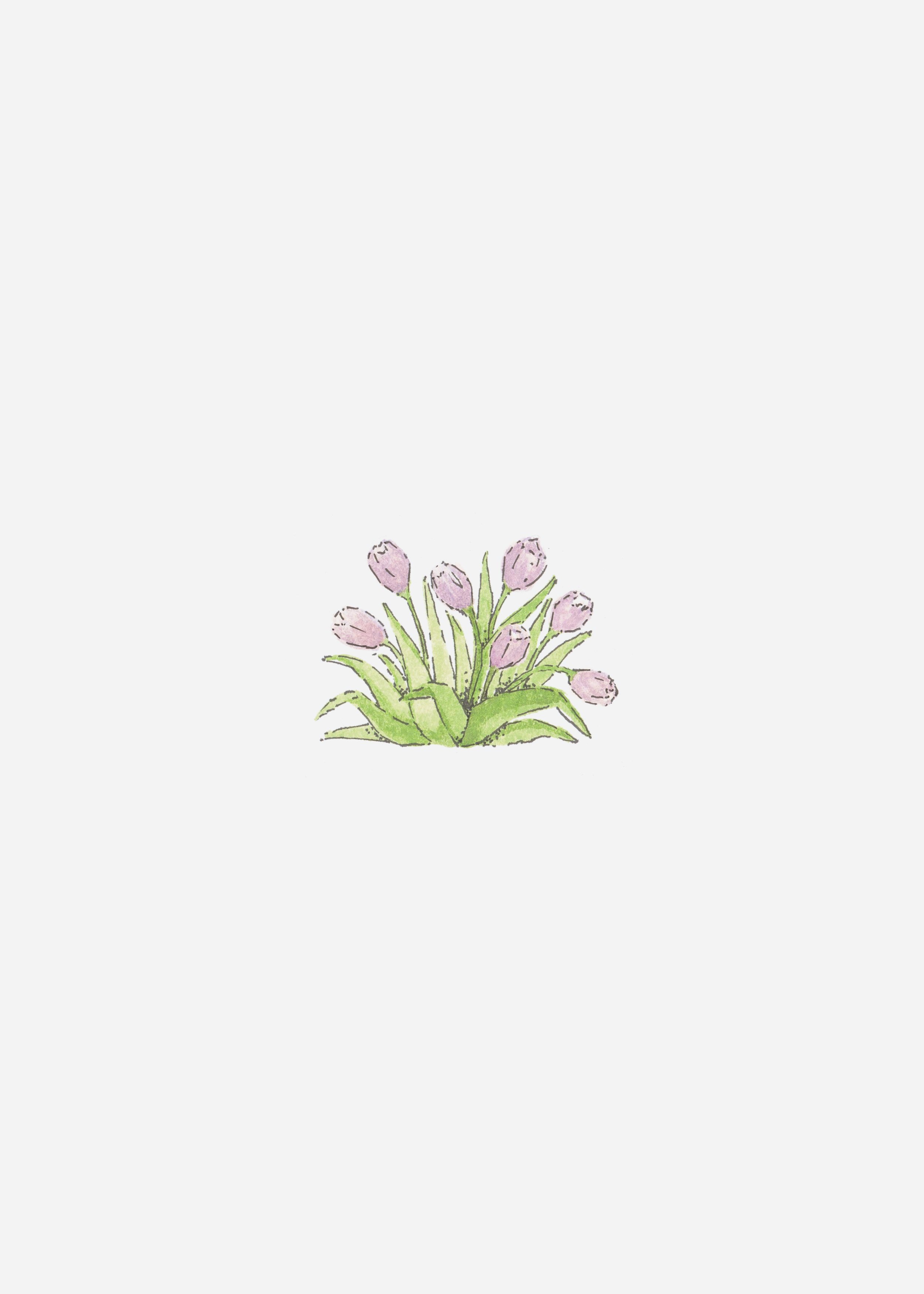 Tulip_Scan_Two%5B1%5D.jpg