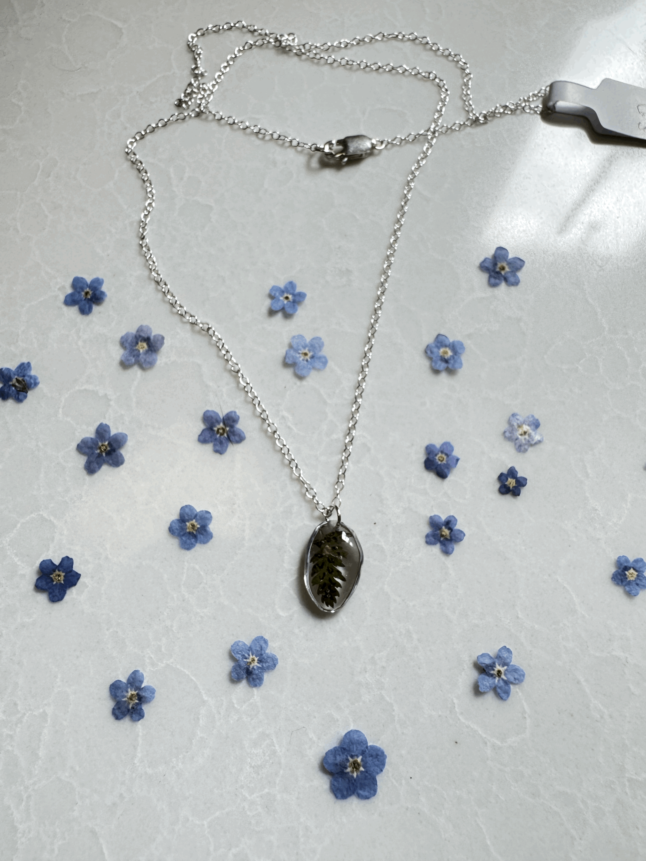 tempImageMHfwz6.gif