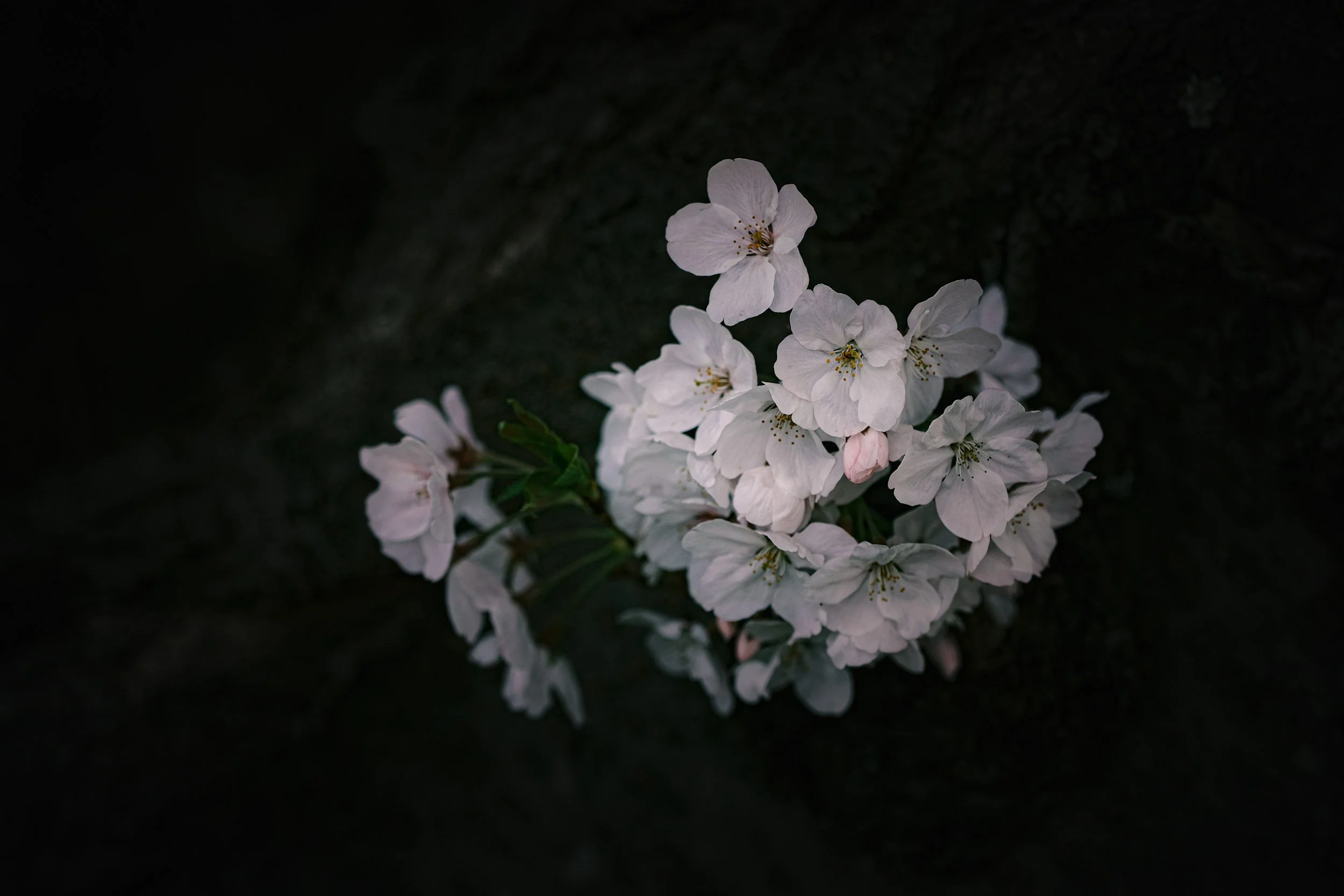 unsplash-image-OH5q_Ty5-UQ.jpg